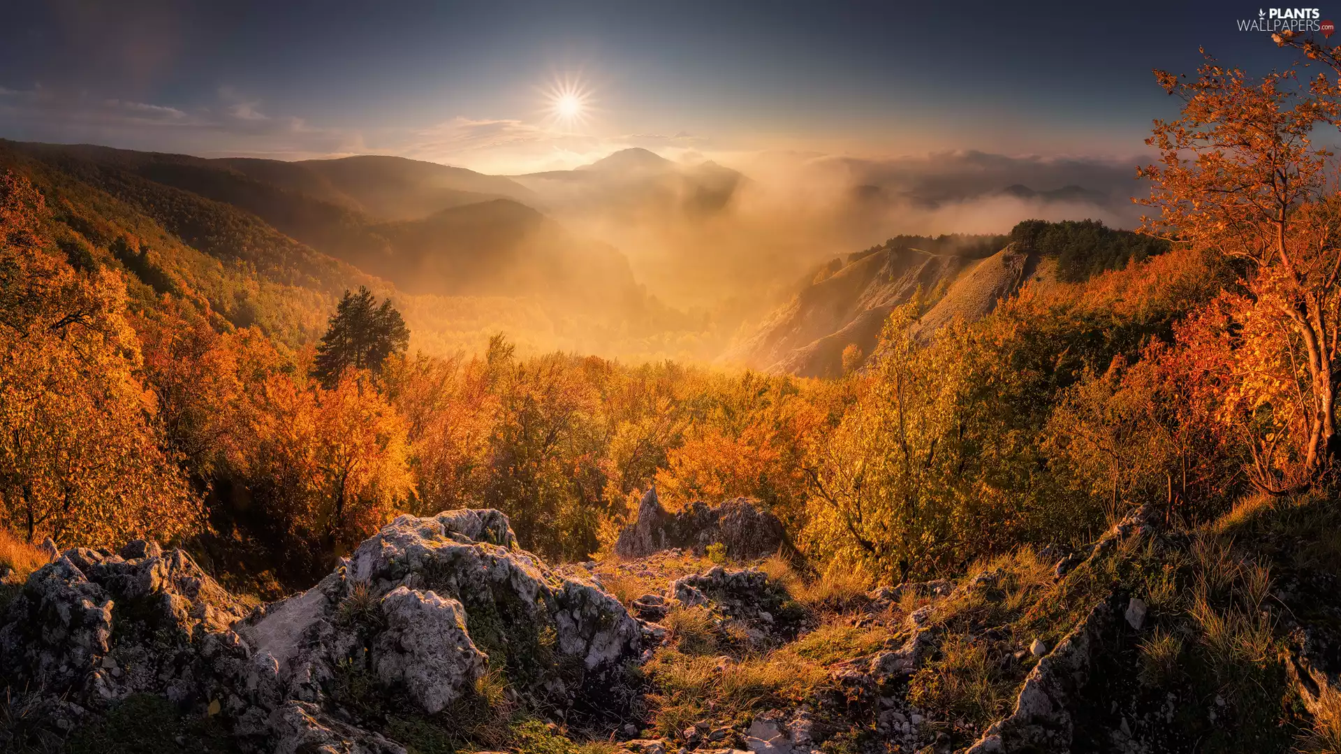 autumn, Rocks, Fog, trees, VEGETATION, rays of the Sun, Mountains, viewes