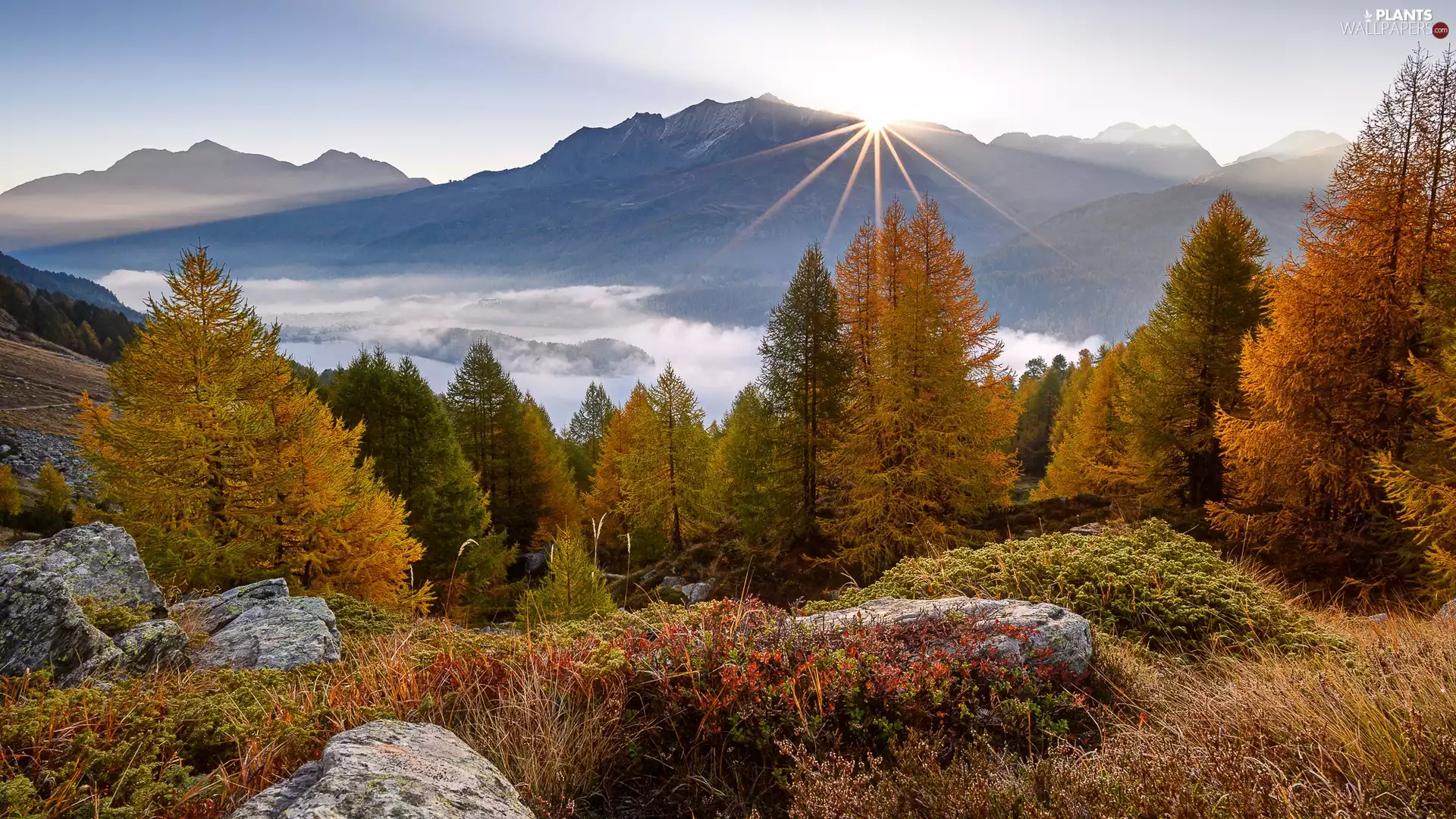 Mountains, Switzerland, rocks, autumn, viewes, Fog, rays of the Sun, Engadin Valley, Rodent, Sunrise, trees