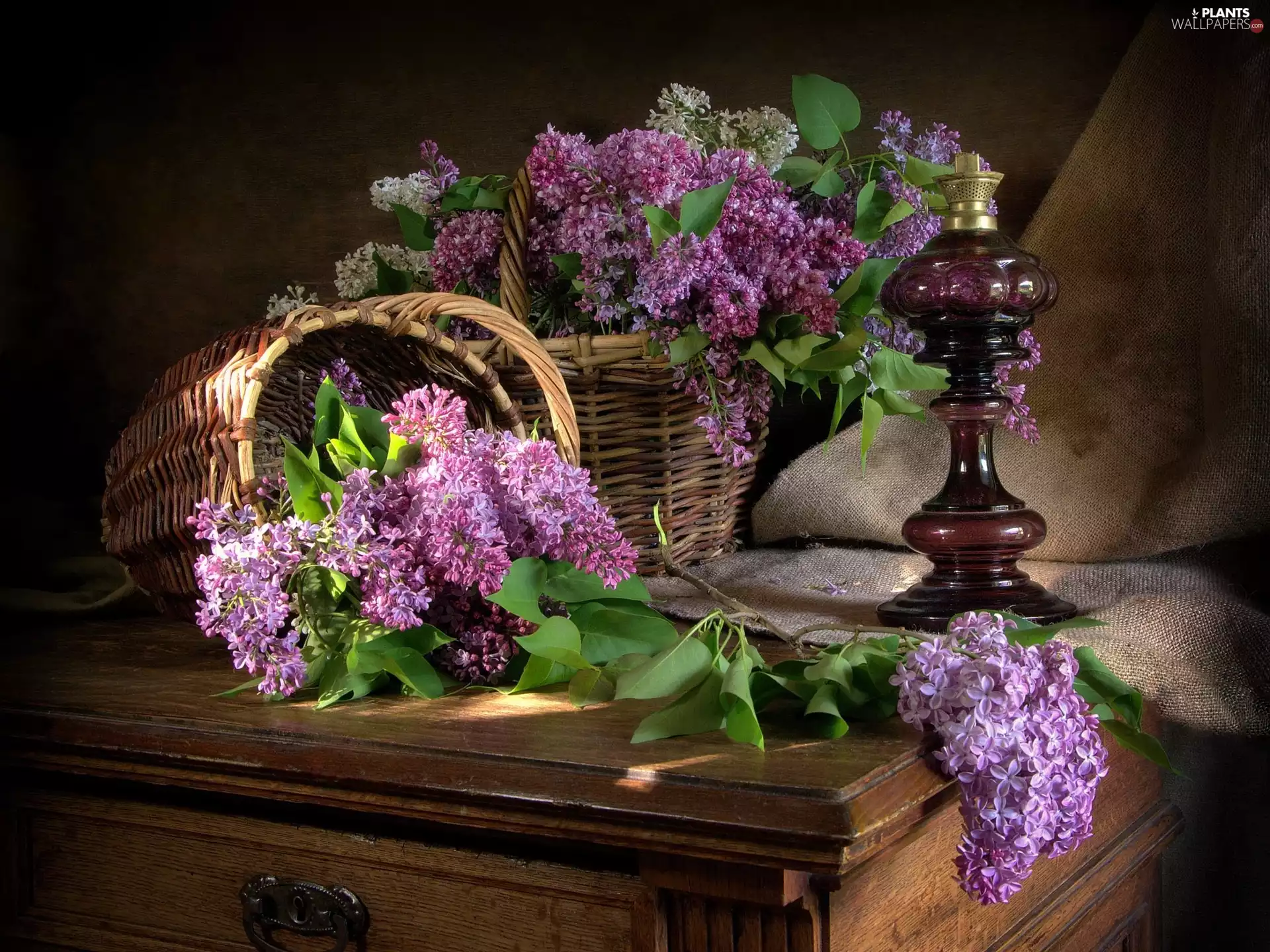 without, Oil Lamp, composition, Baskets