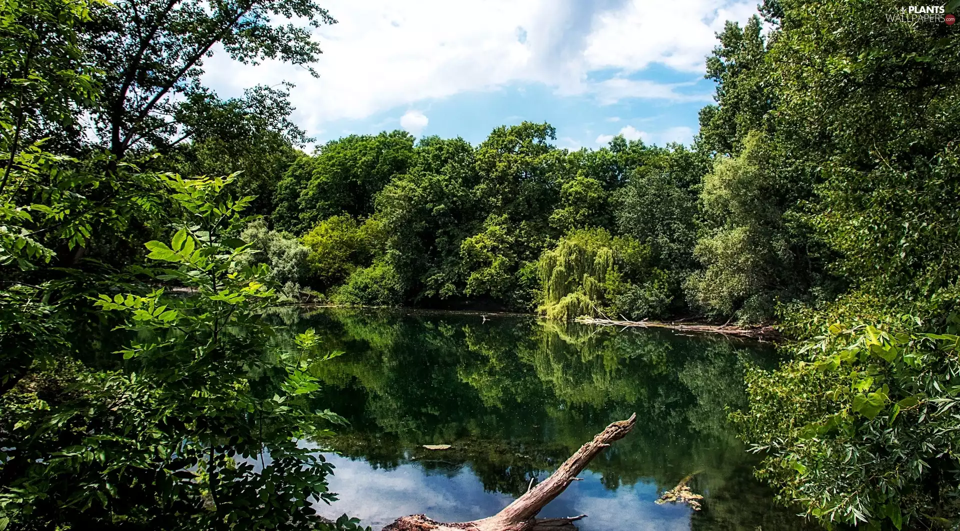 River, viewes, Lod on the beach, trees