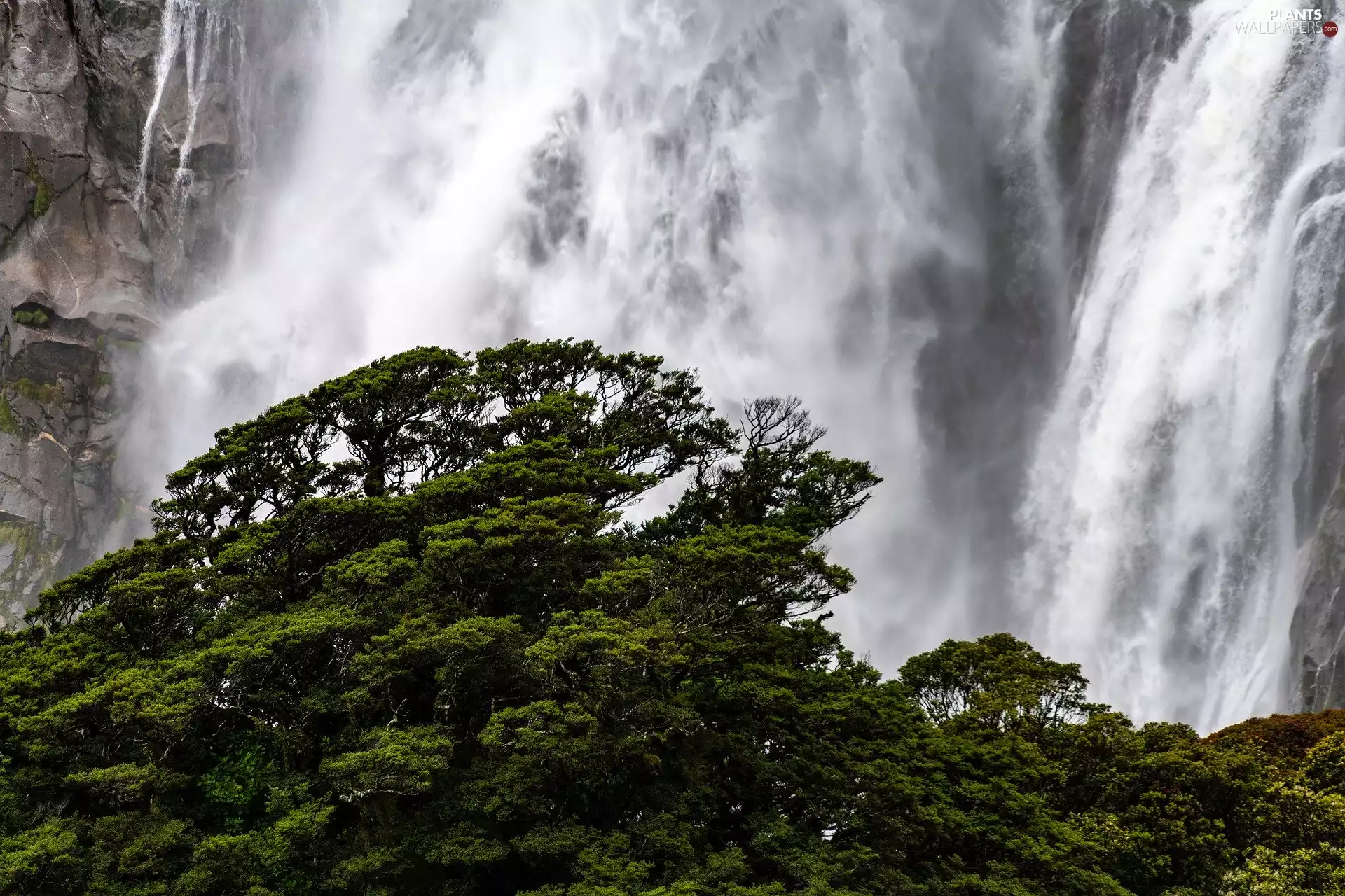 viewes, Rocks, green ones, trees, waterfall