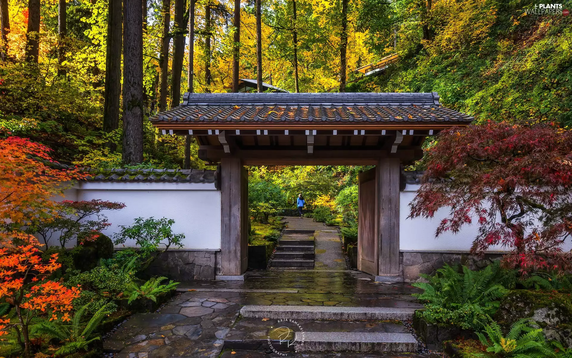 Portland, Japanese Garden, viewes, Gate, trees, Oregon, The United States, autumn