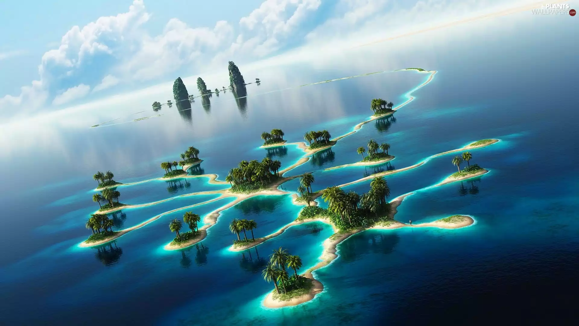 Ocean, Islands, Palms, Pacific