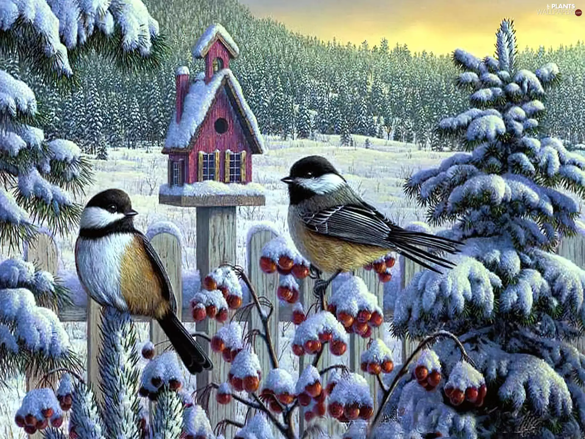 painting, birds, Bird