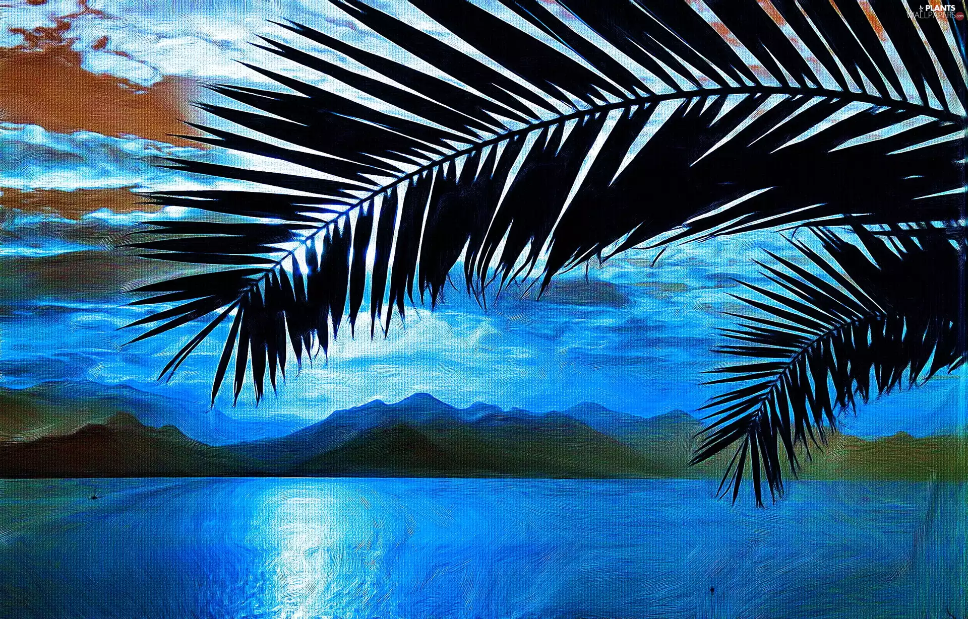Palm, Mountains, lake