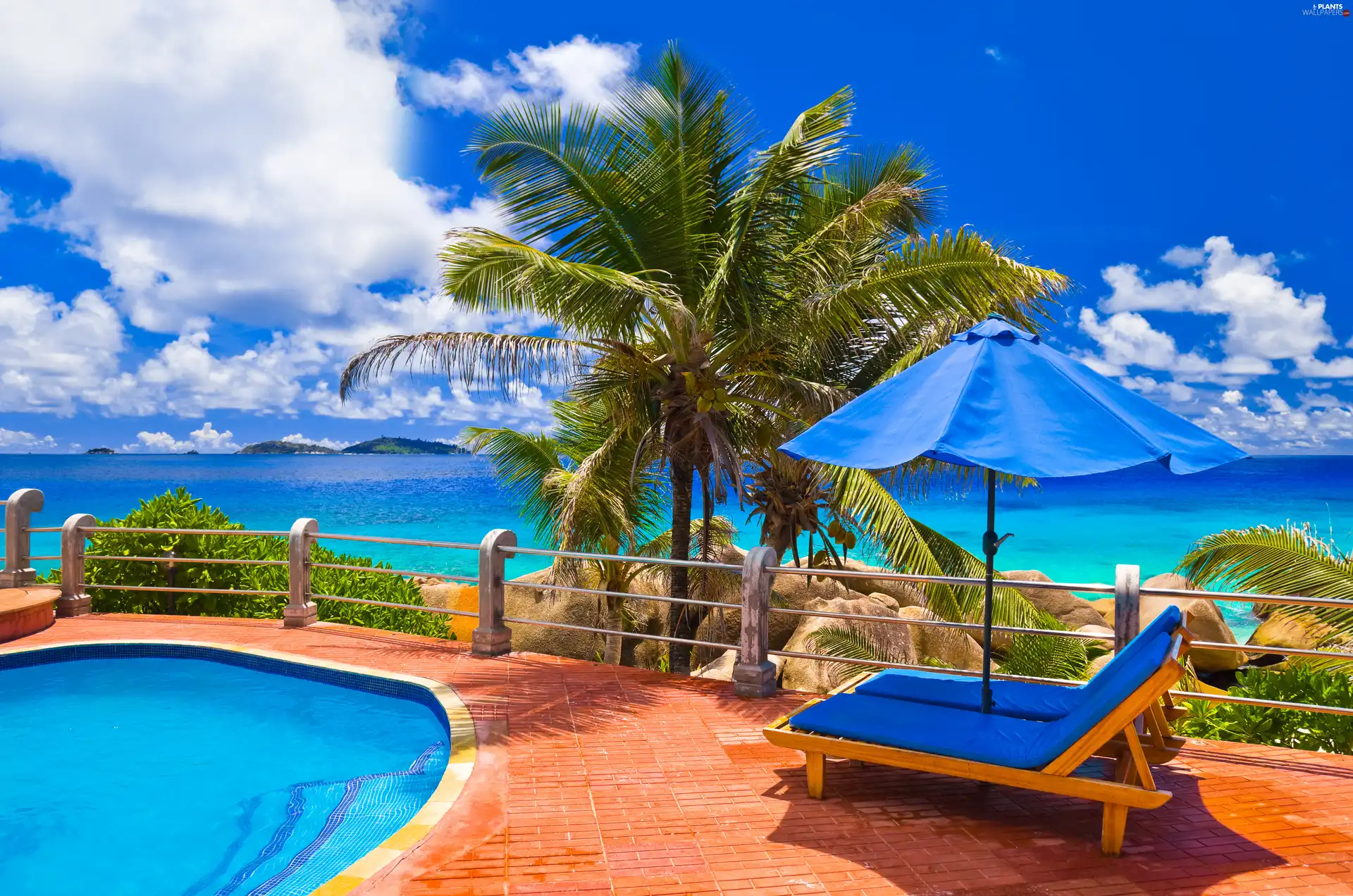 hammock chair, summer, terrace, holiday, Palm, Pool