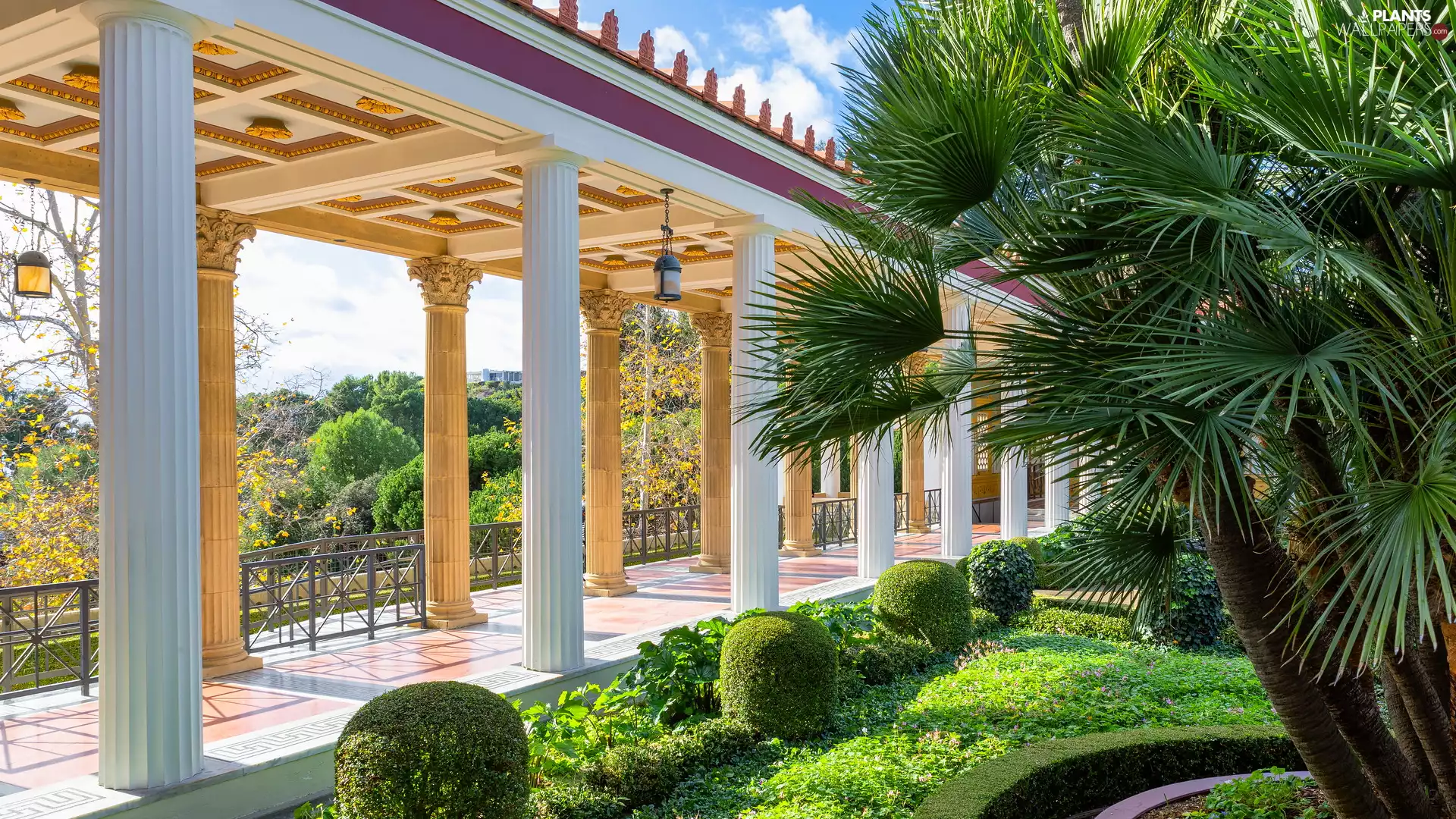 colonnade, Garden, Bush, Palm, column, transition