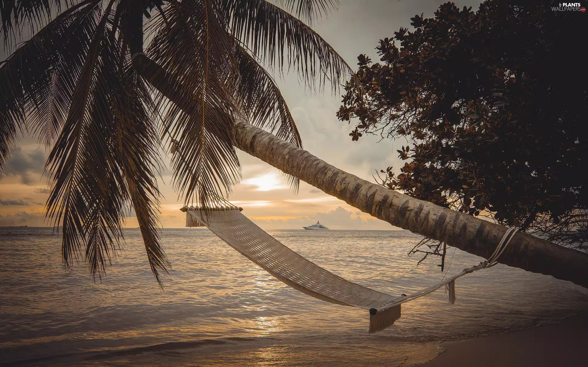 Palm, Hammock, Great Sunsets, Beaches, Ship, viewes, trees, sea