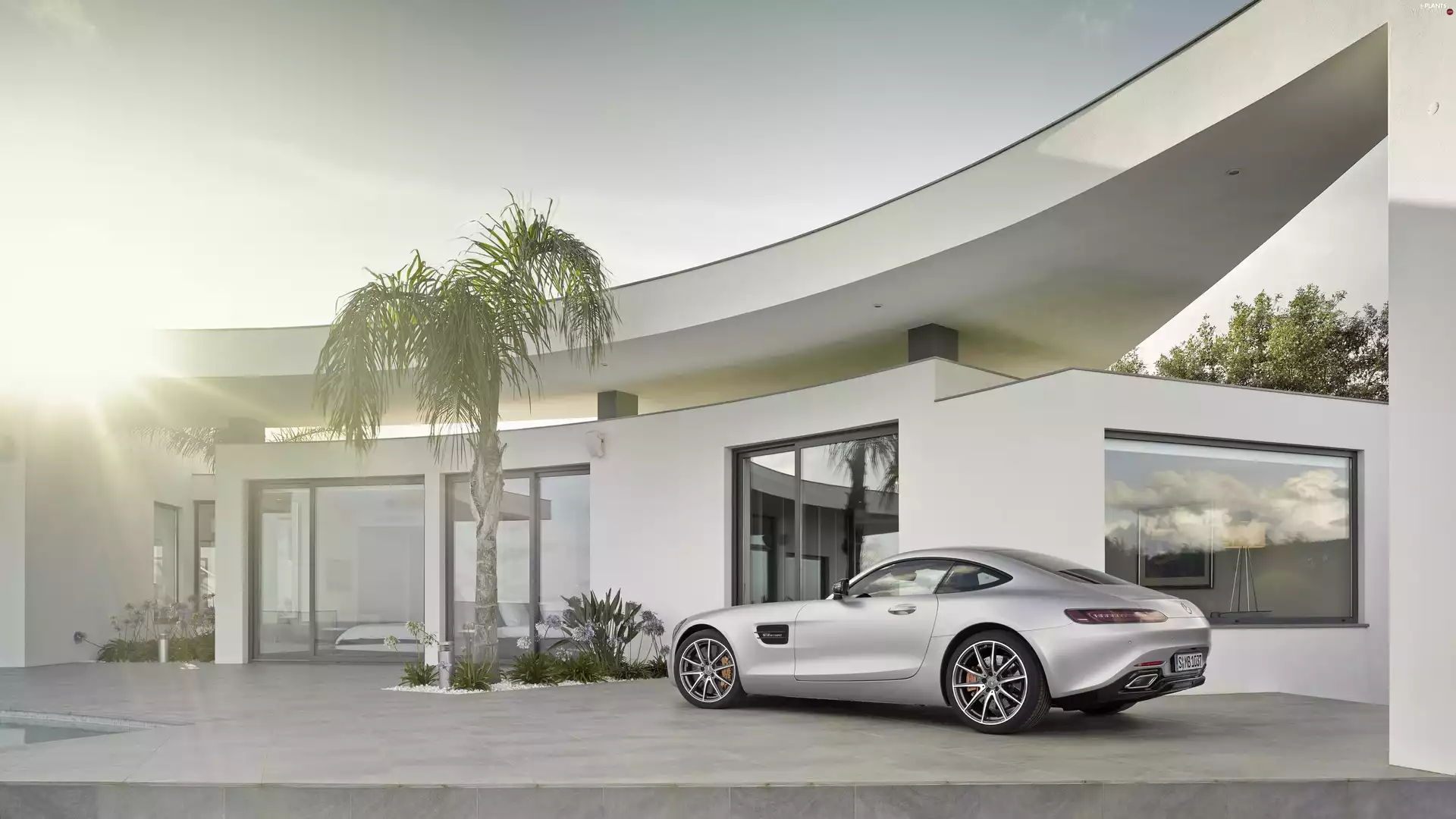 house, Palm, White, Mercedes, Automobile