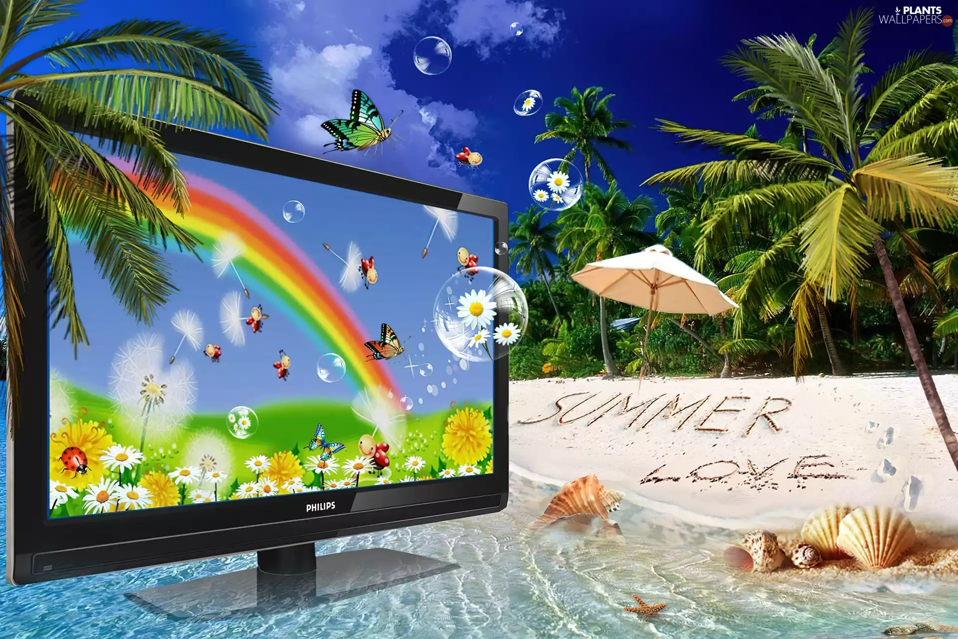 Beaches, monitor, Philips, Palms