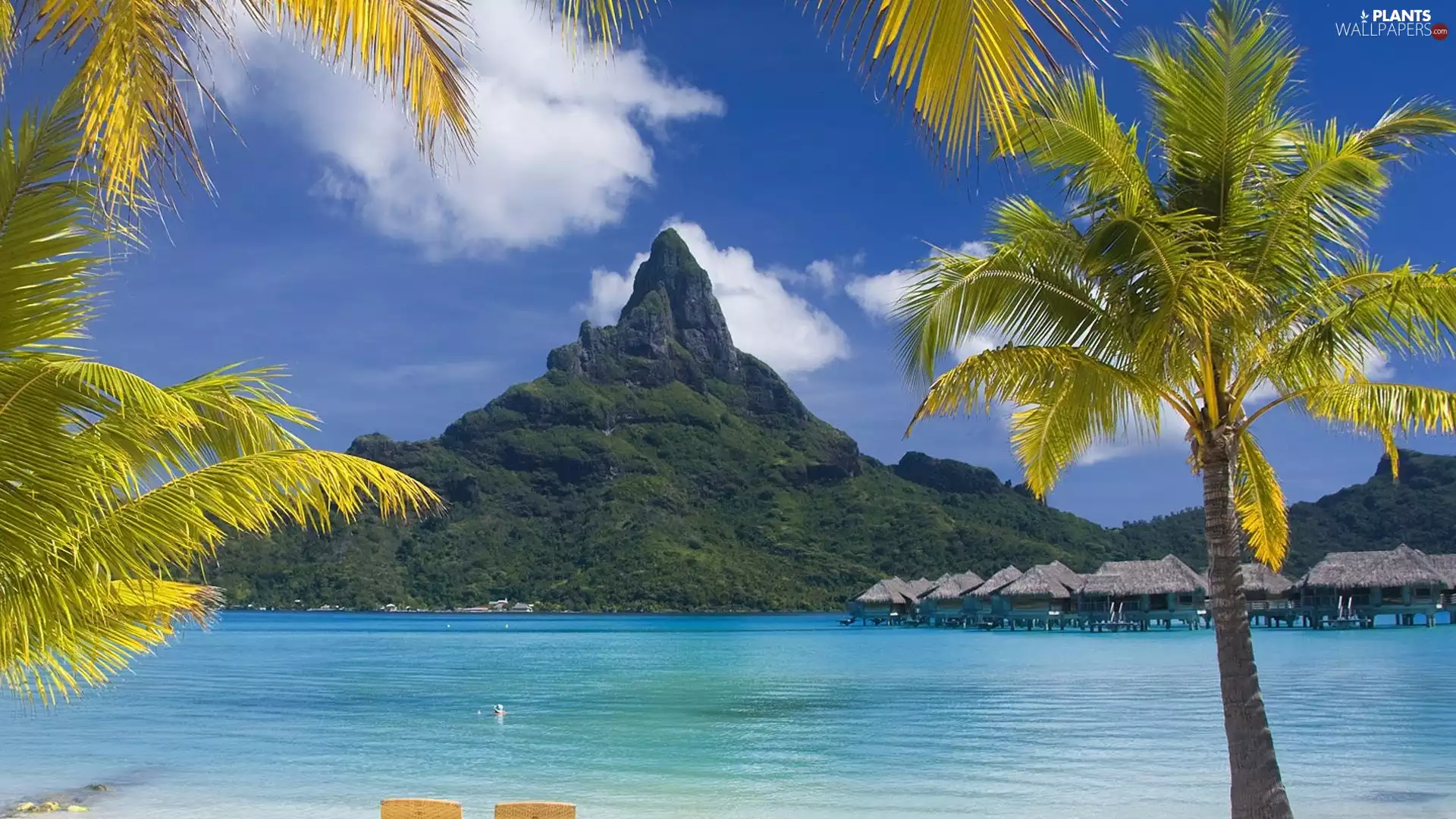 mountains, Palms, Bora Bora, sea