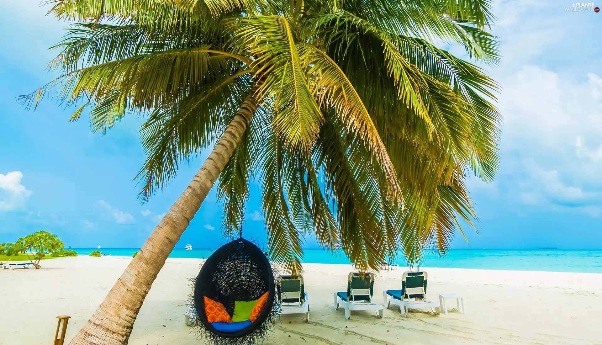 holiday, Beaches, Ocean, Palms, deck chair