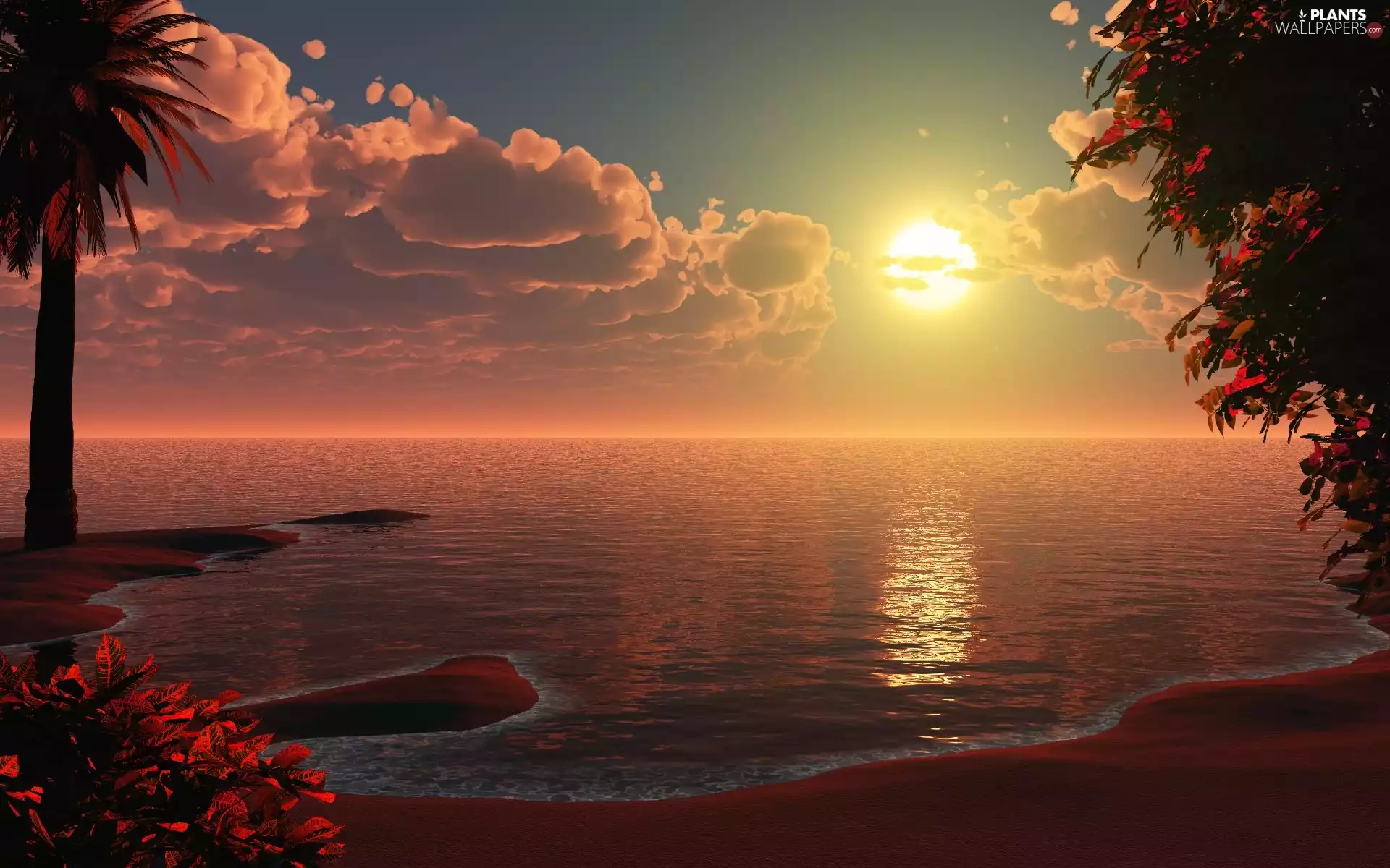 Beaches, Palms, clouds, lake, sun