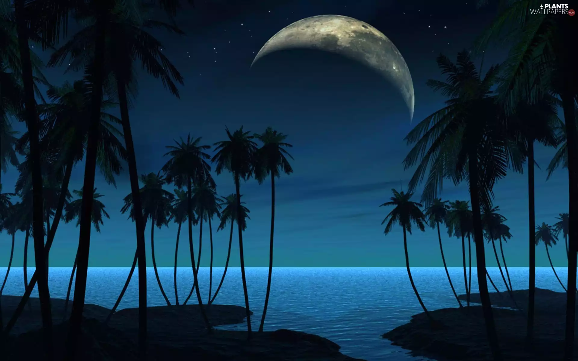 Sky, moon, fantasy, star, Ocean, dark, Night, Palms
