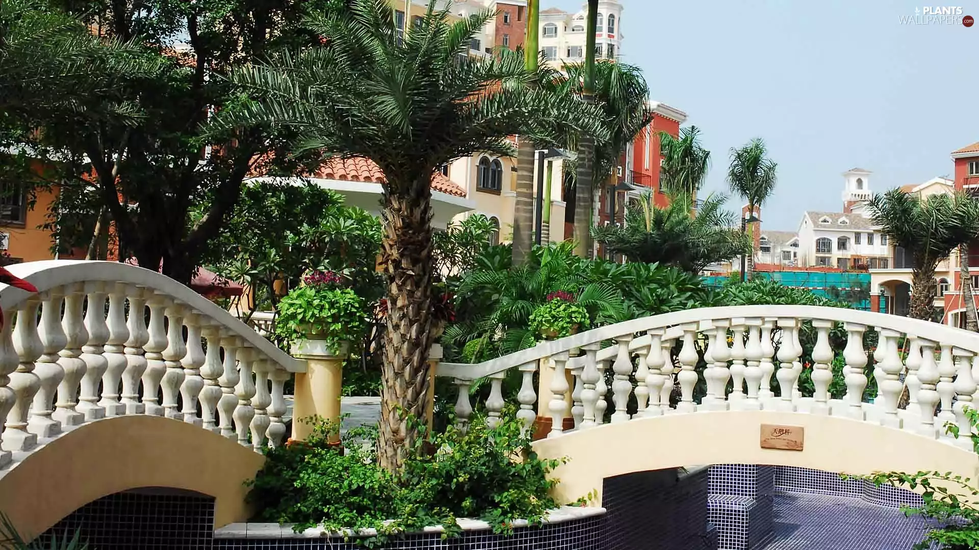 towns, Tuscany, bridge, Palms, Houses, fragment