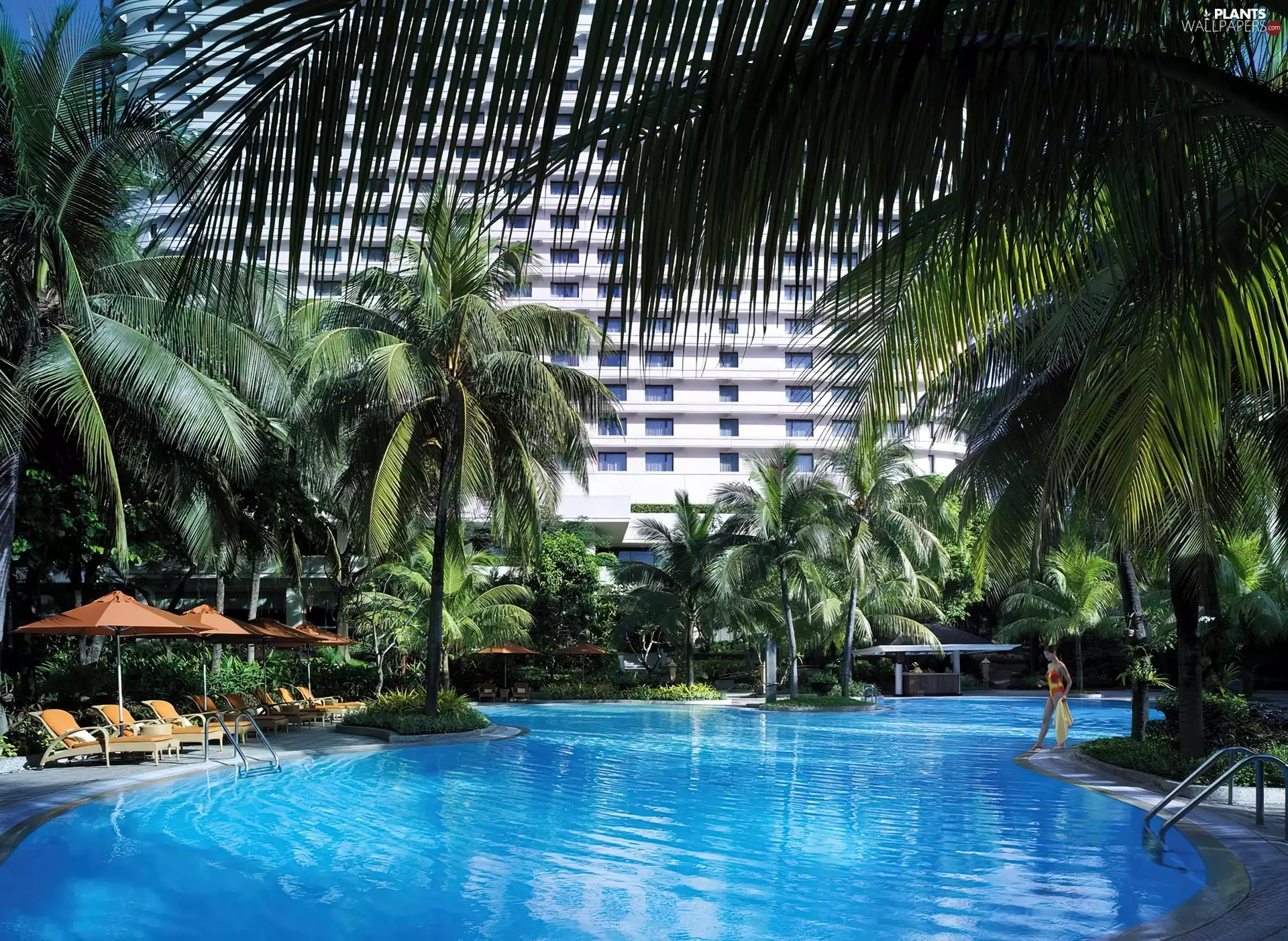 Bangkok, Thailand, Pool, Palms, Hotel hall