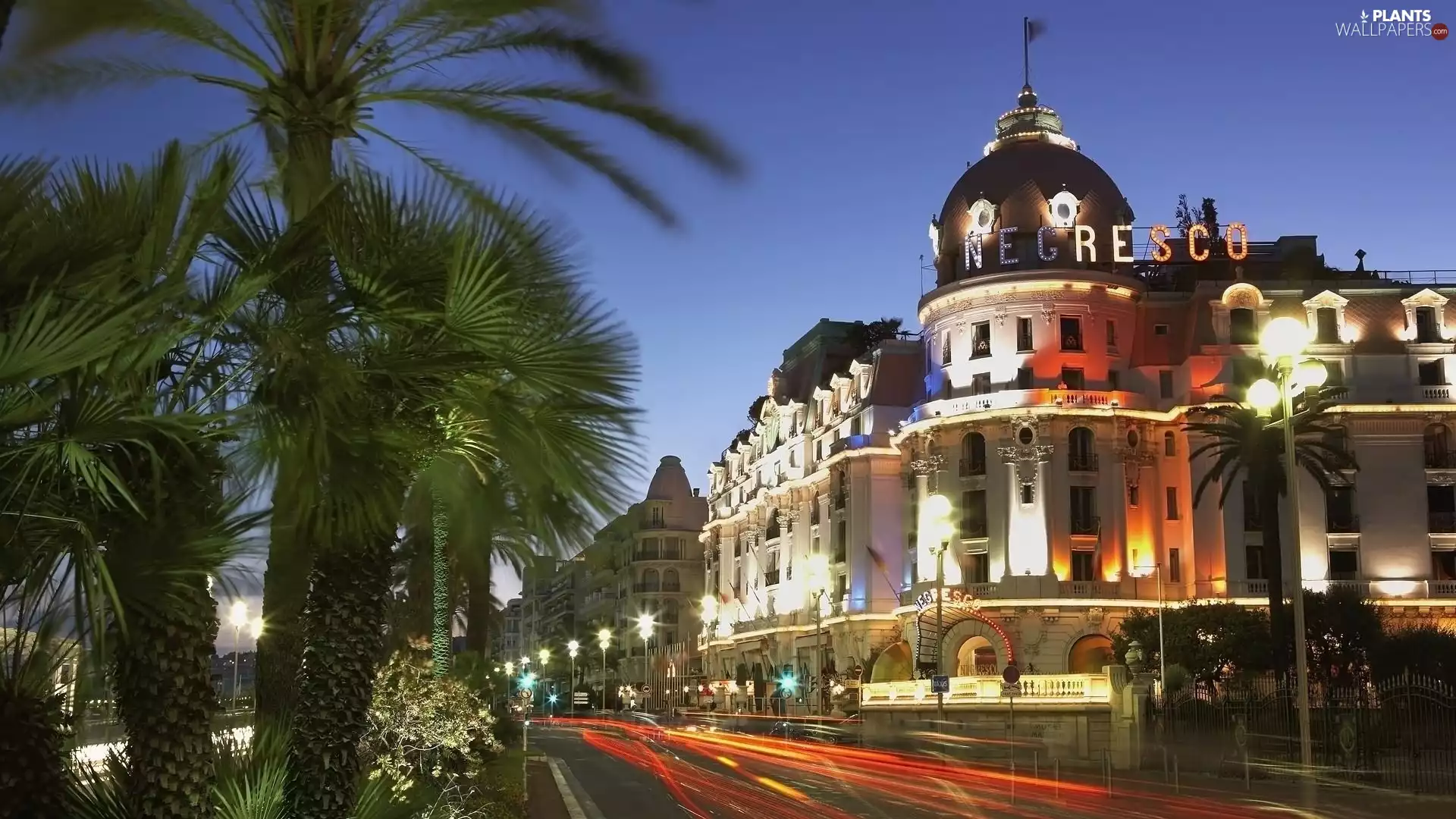 Town, France, Street, Palms, Hotel hall