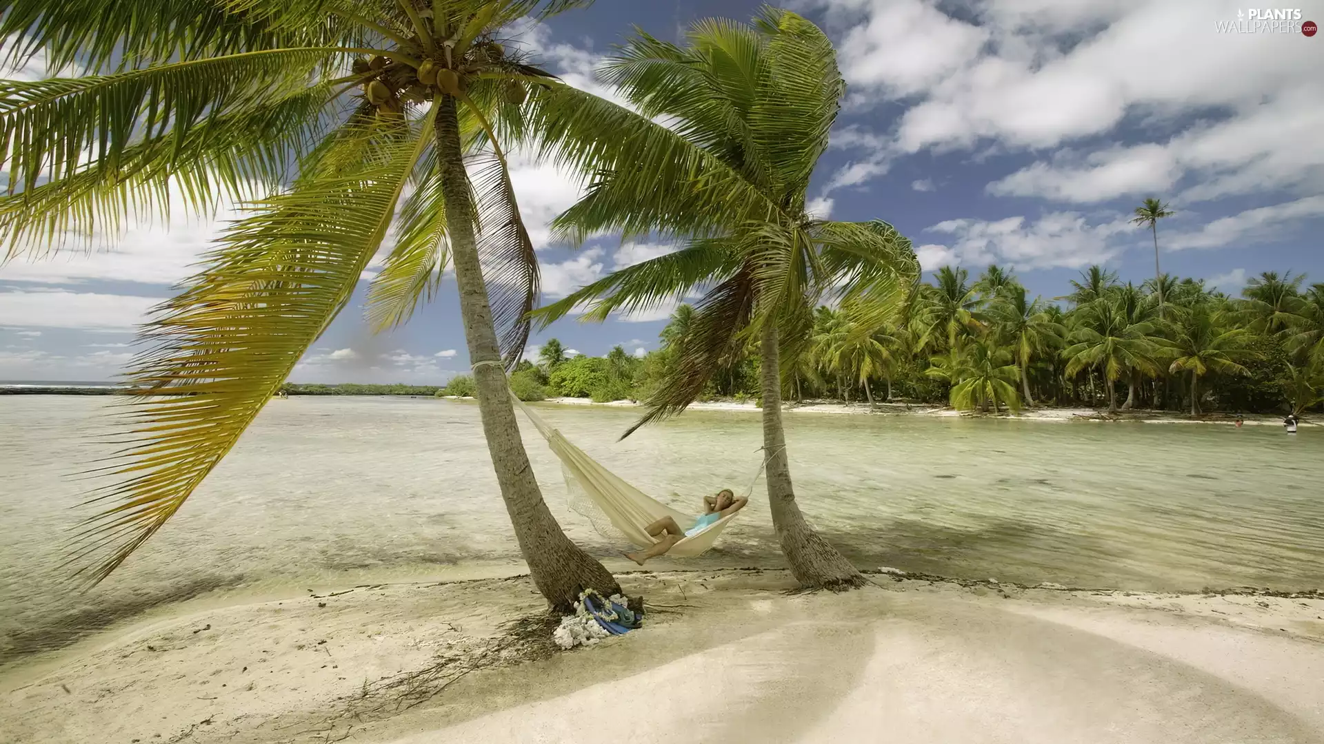 Hammock, Beaches, girl, Palms
