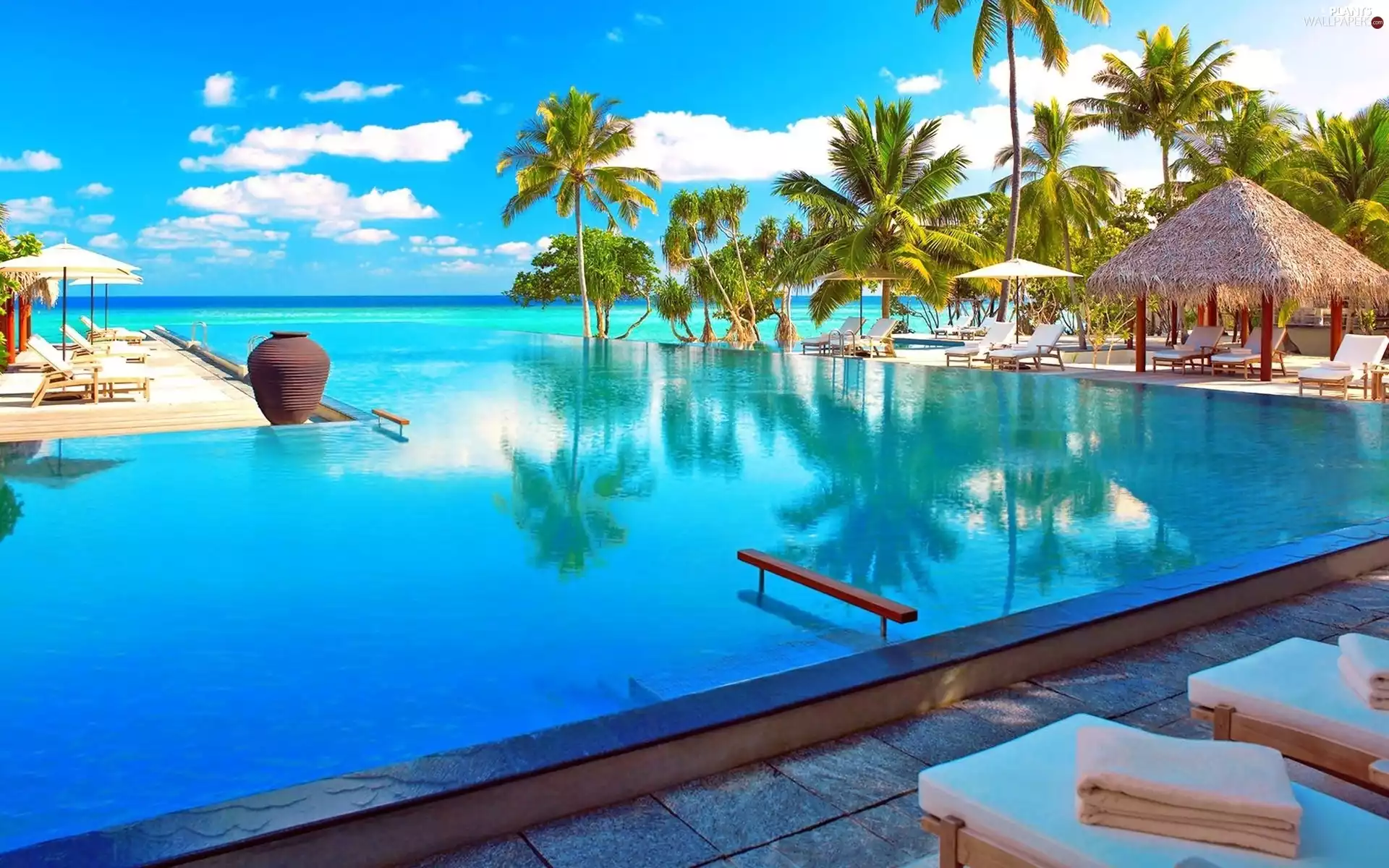 Pool, Palms, holiday, deck chair