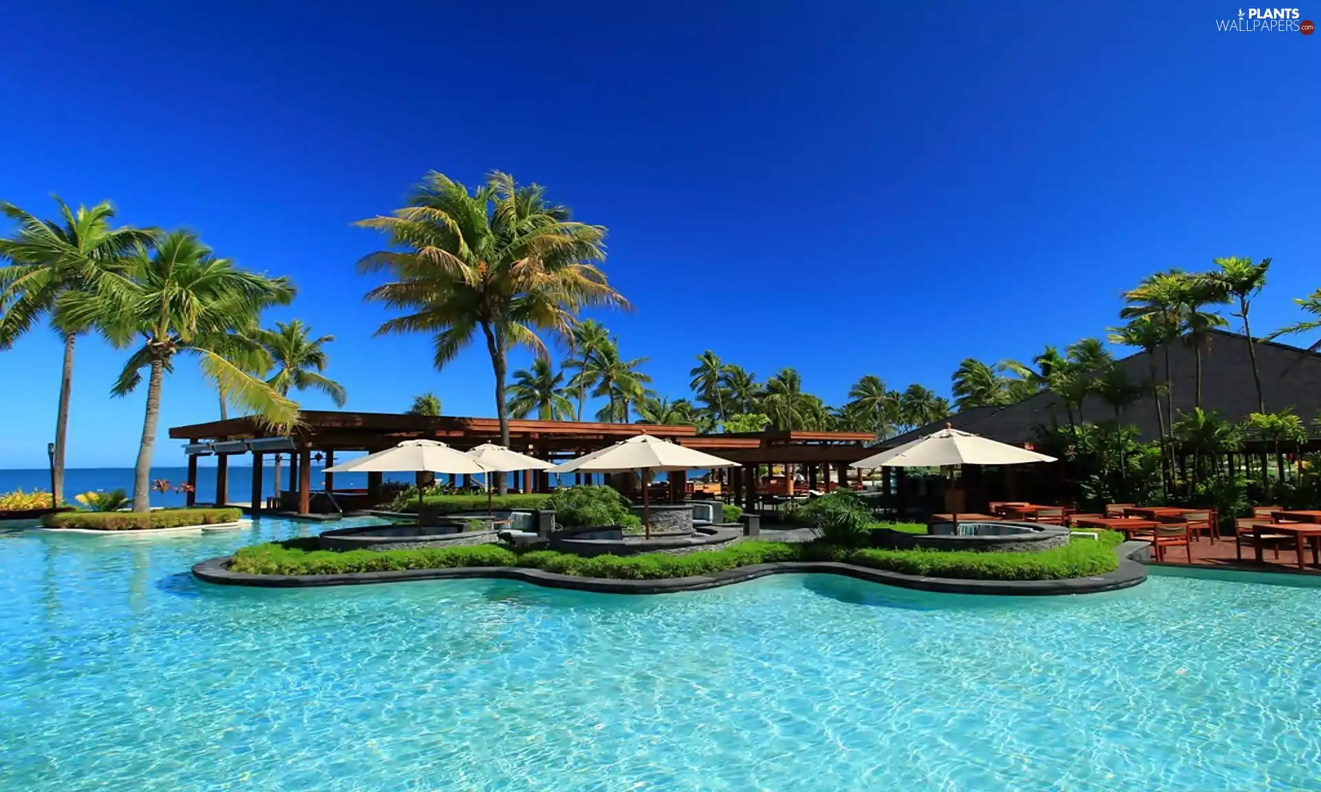 Palms, sea, The Westin Denarau Island Resort & Spa, holiday, Fiji