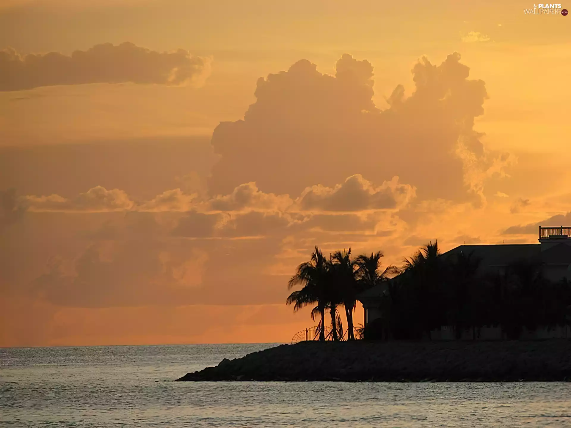 house, sea, clouds, Palms