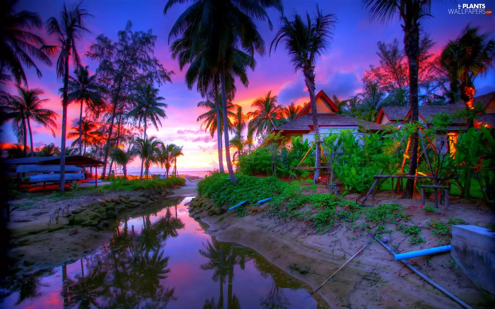 Island, stream, Houses, Palms