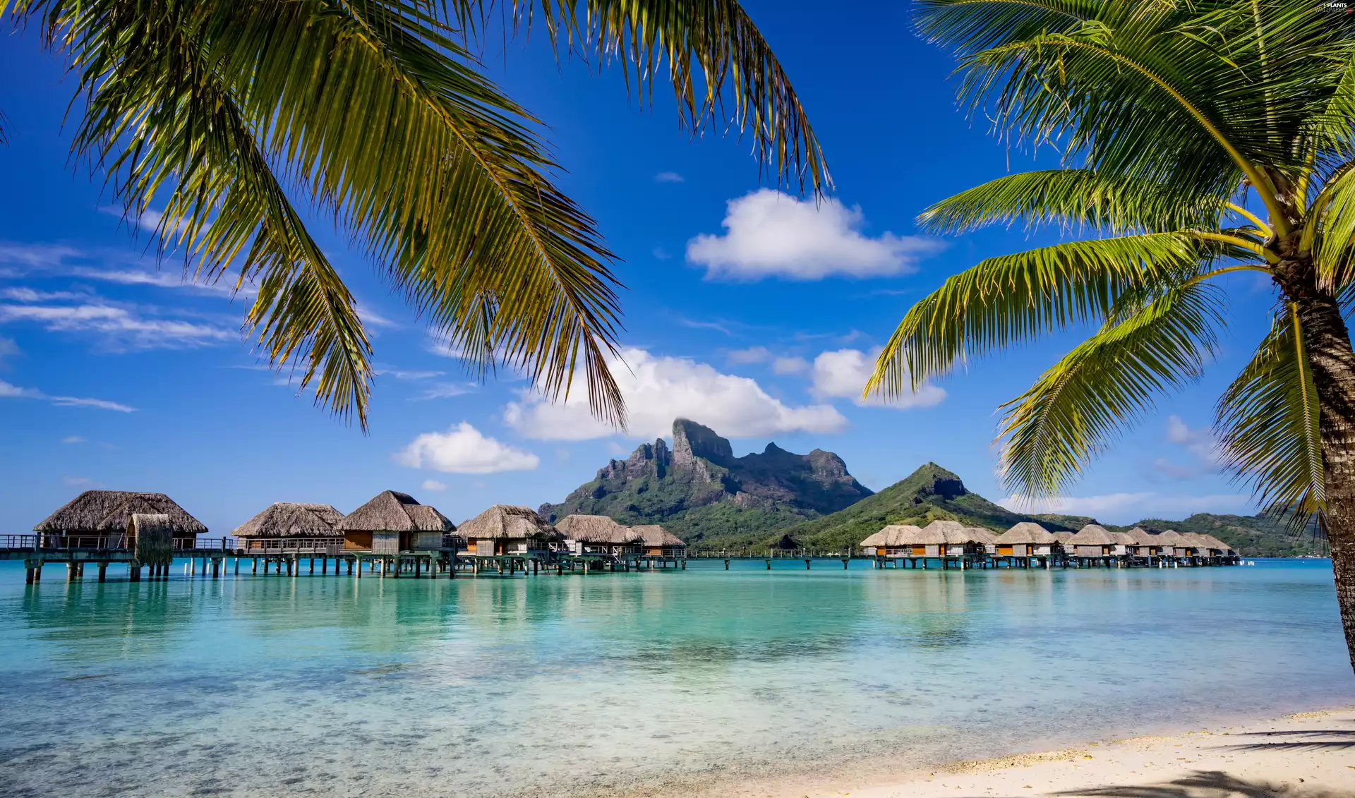 Mt. Otemanu, Island, Palms, Houses, Bora Bora