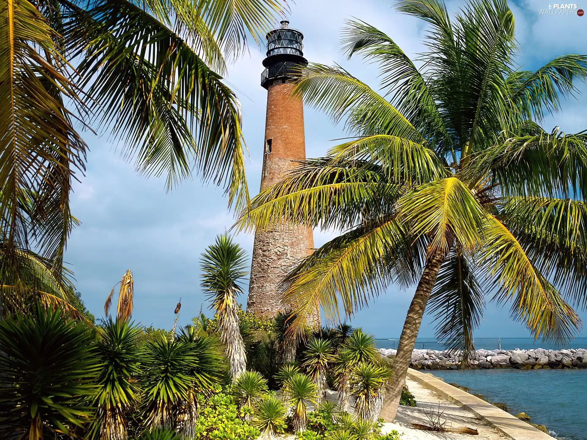 Palms, Lighthouse, maritime