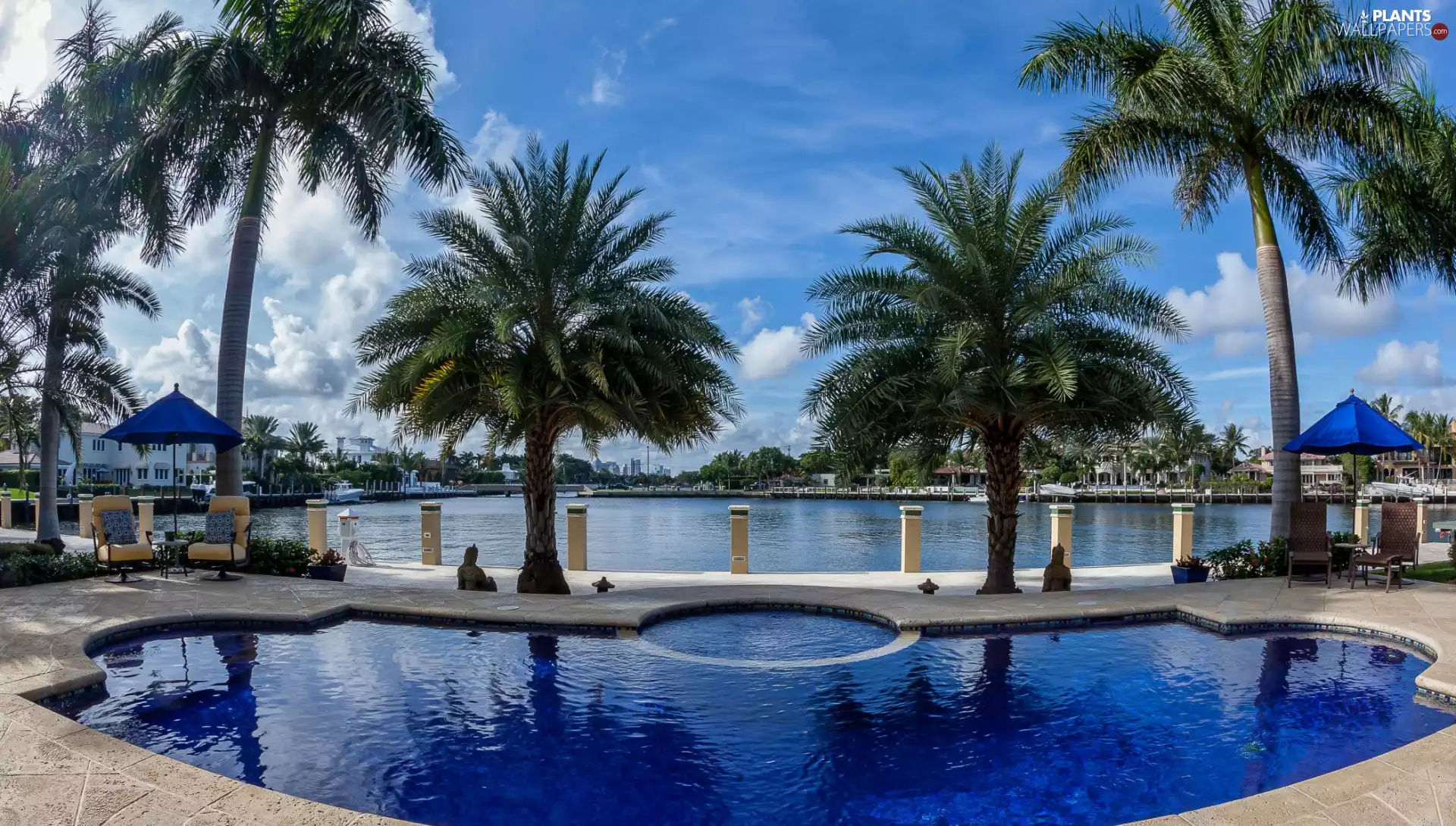 Palms, lake, Pool