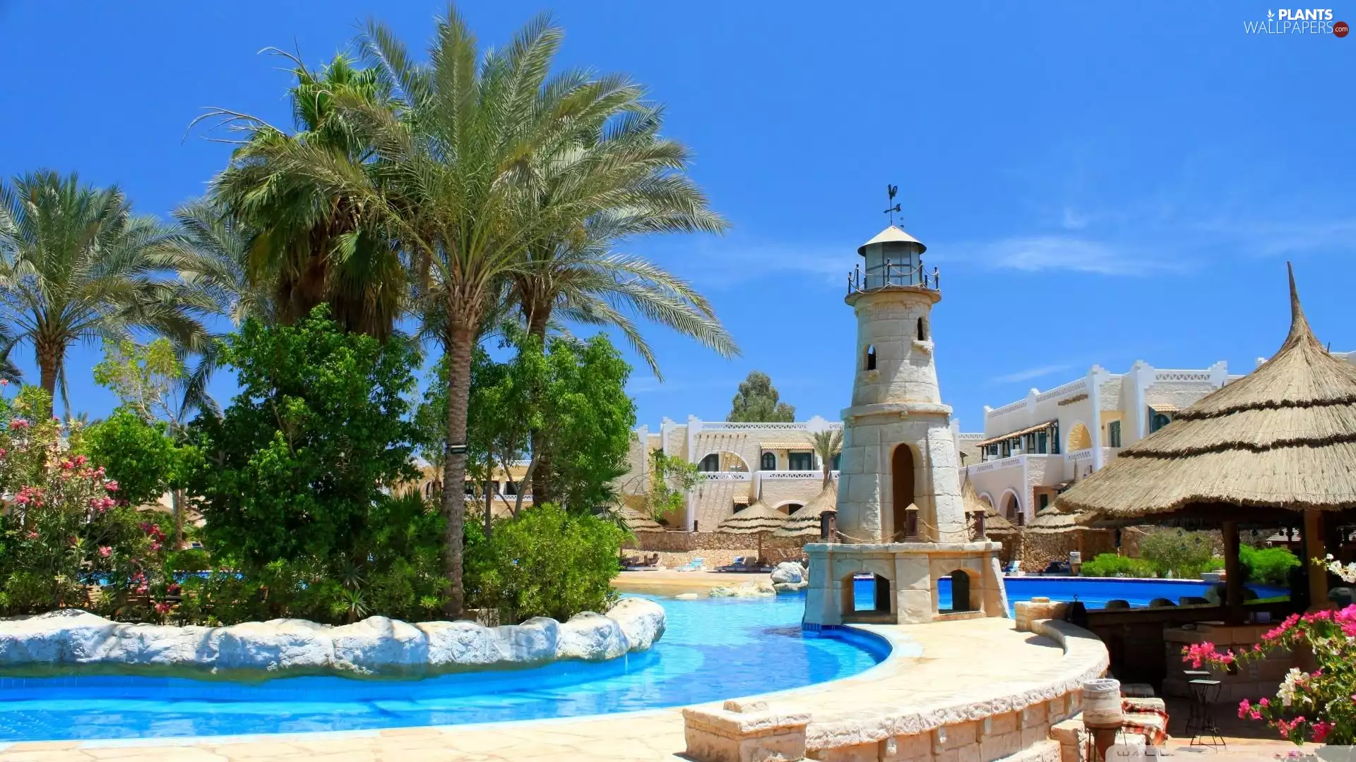 Palms, Lighthouse, Pool