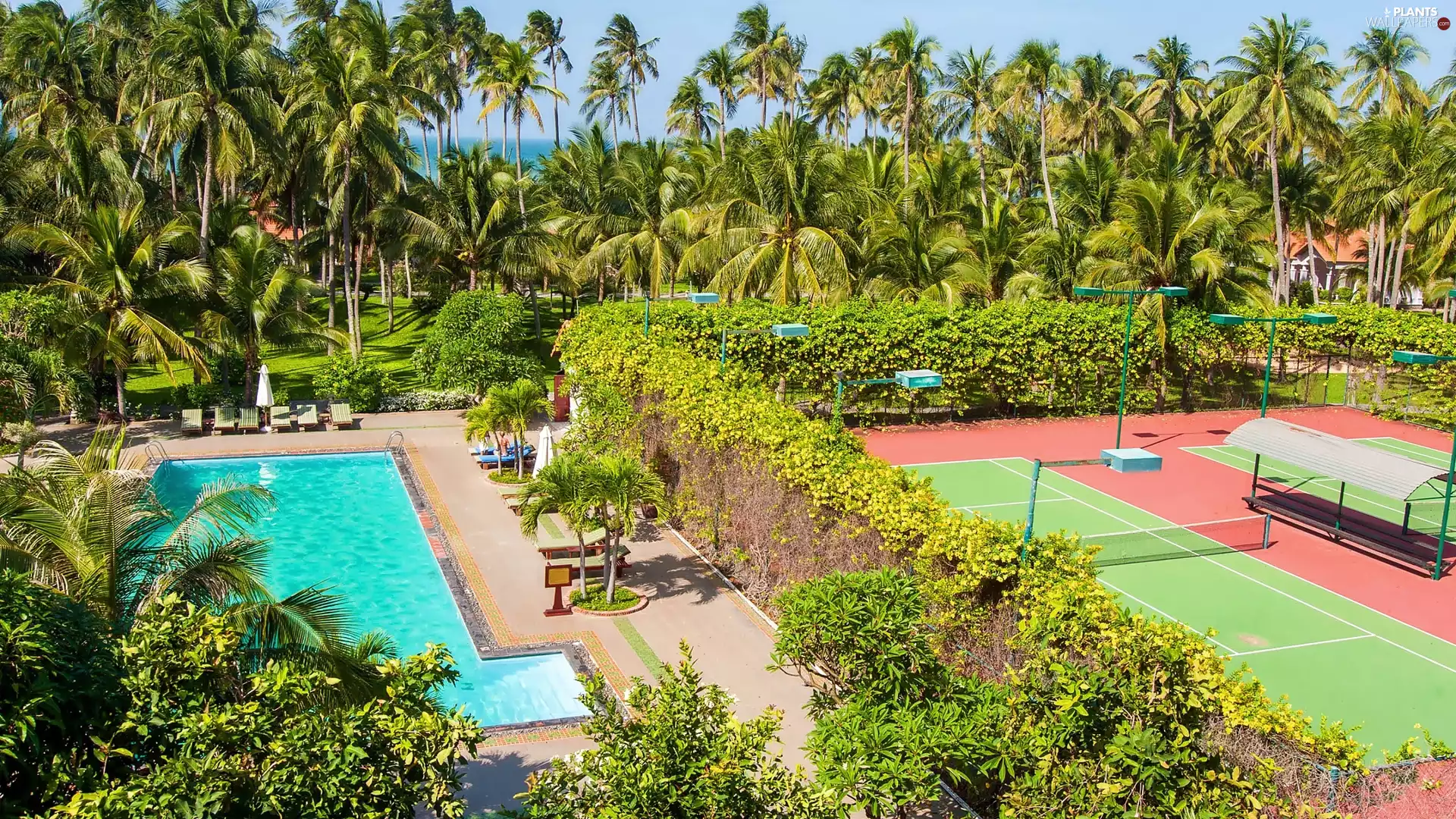 Hotel hall, Philippines, Palms, Luxury, Pool