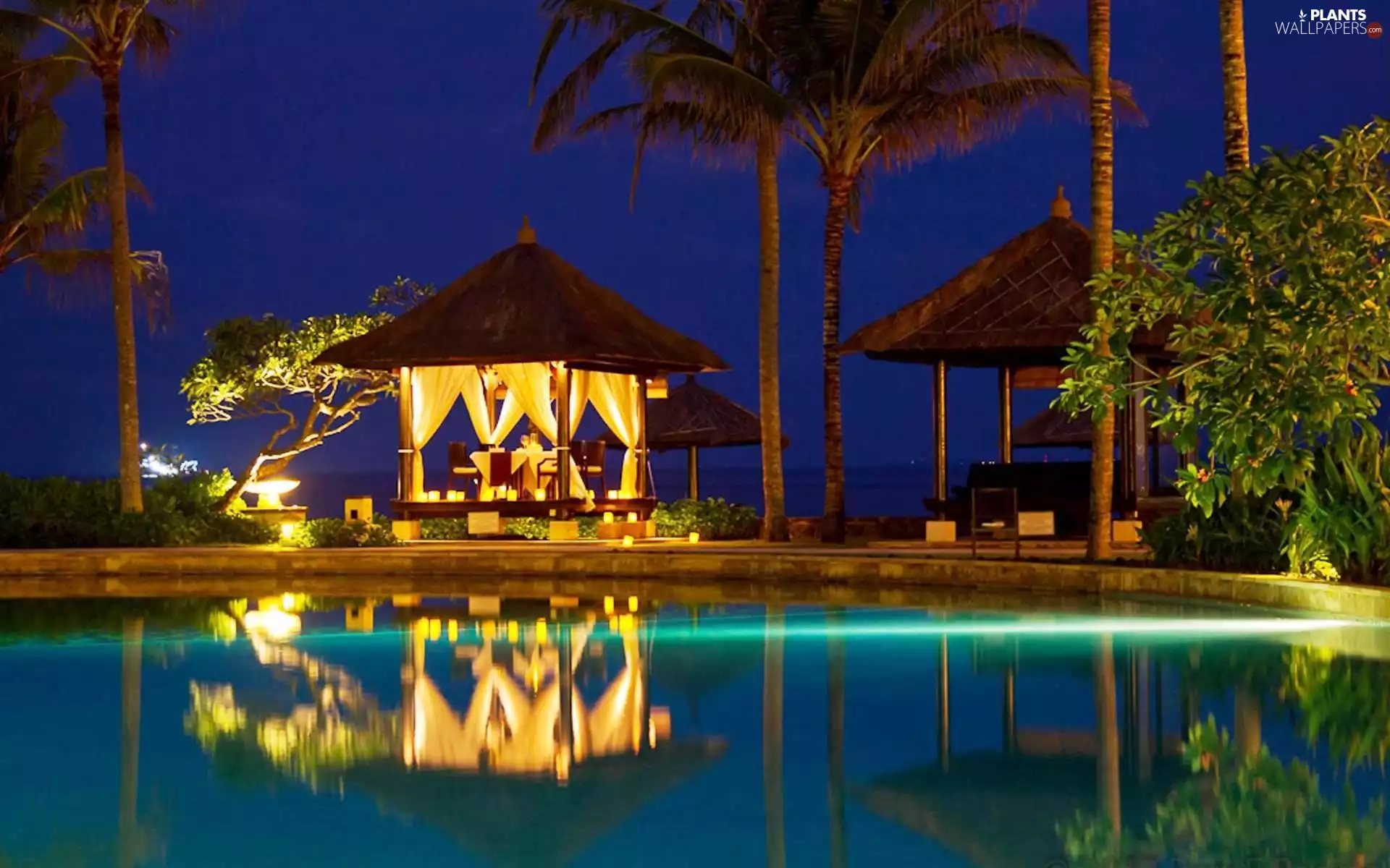 Palms, Restaurant, Pool