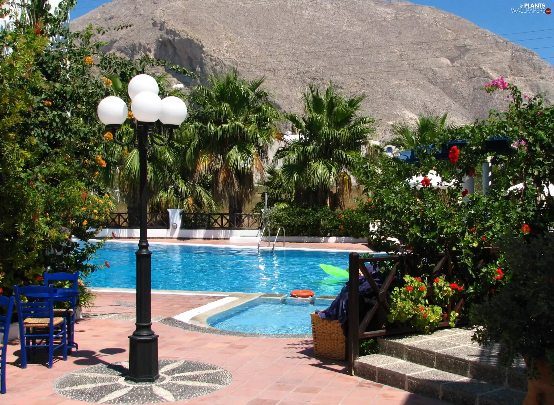 Pool, Flowers, santorini, Palms