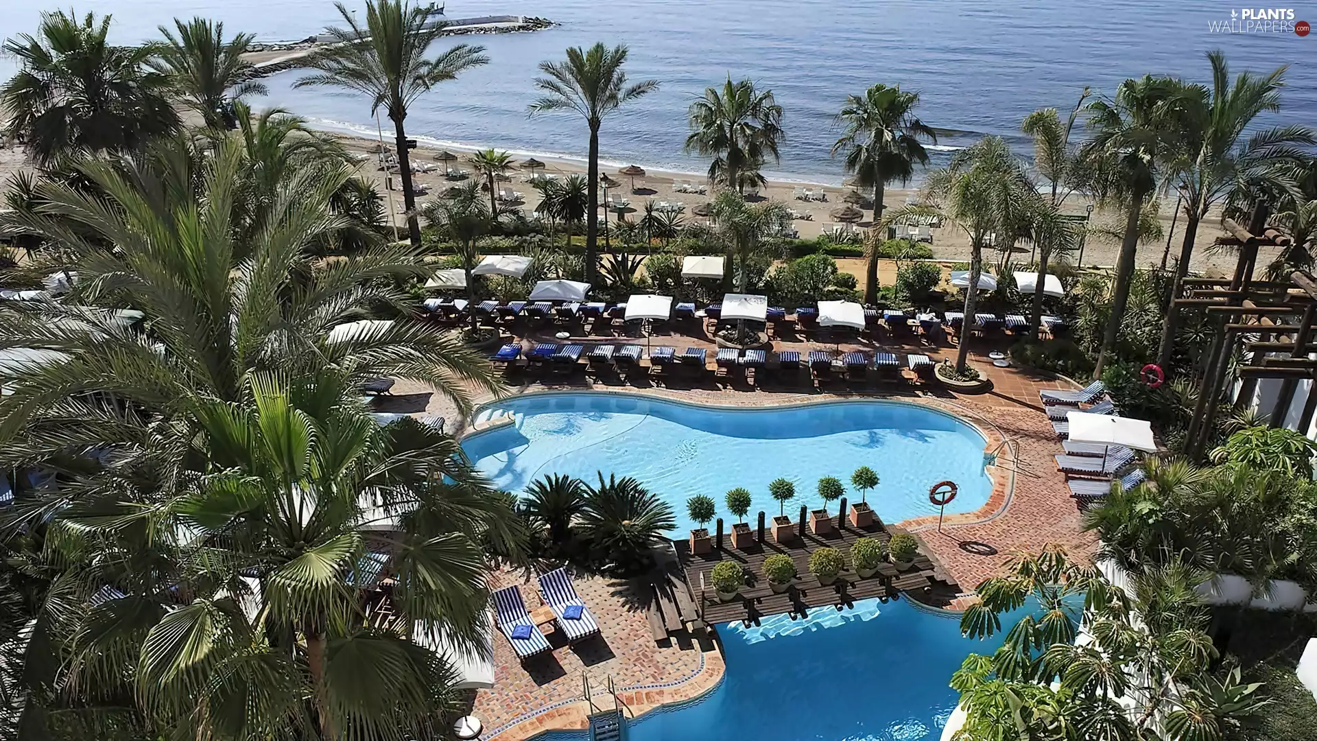 complex, sea, Pool, Palms, The hotel, Beaches