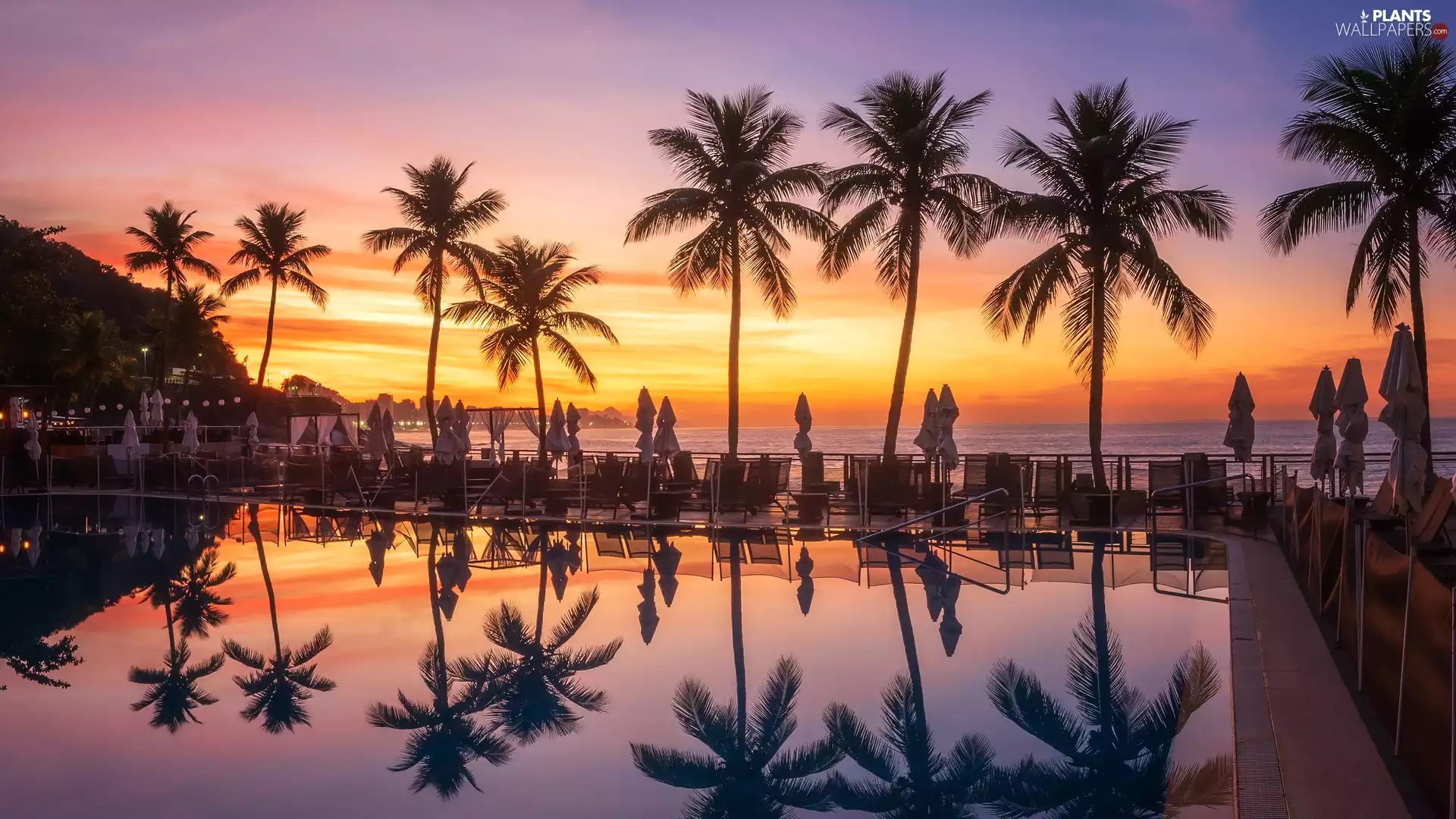 Restaurant, Great Sunsets, Palms, Tables, Pool