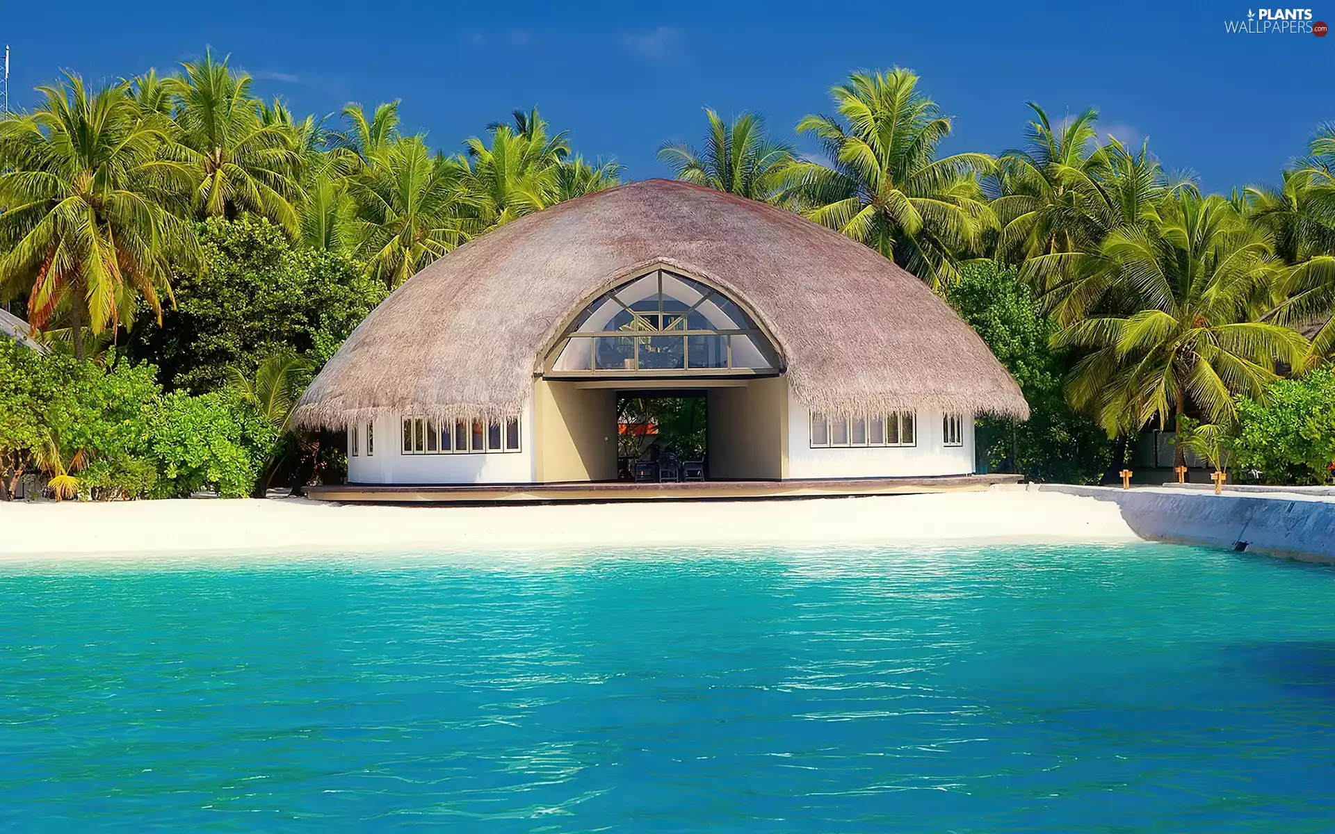 Buldings, Tropical, Pool, Palms, Hotel hall, Maldives