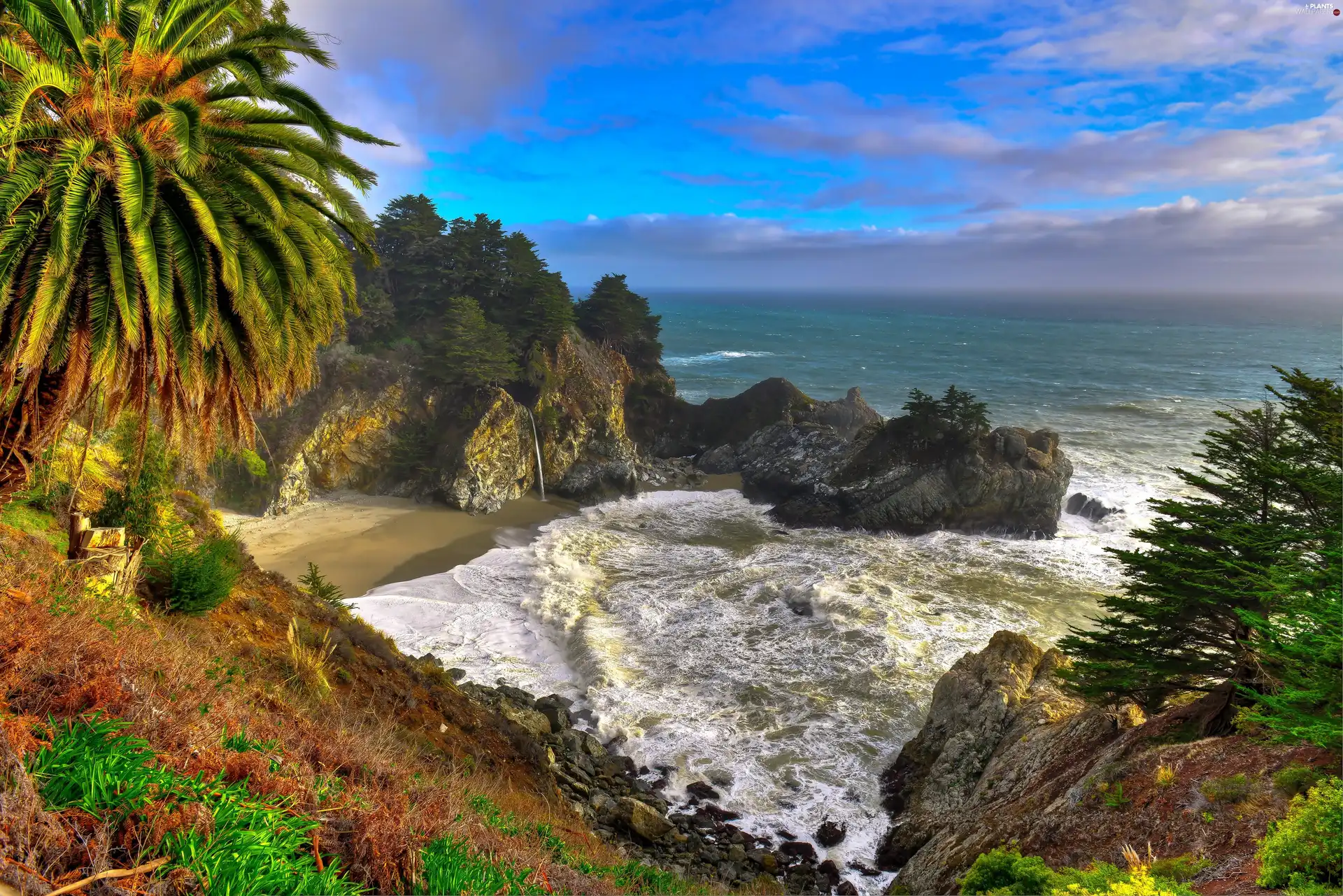 sea, coast, Palms, rocks