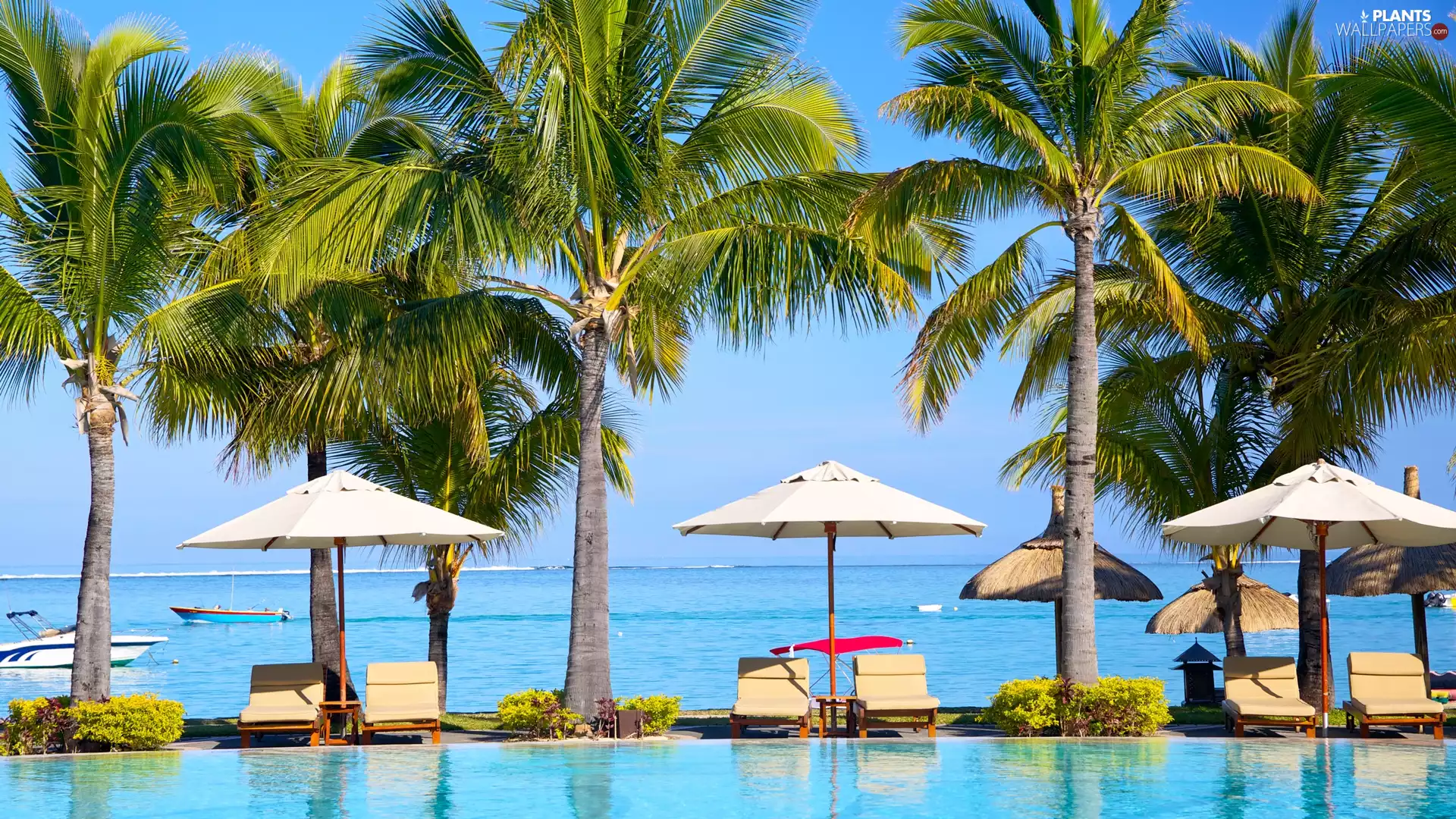 deck chair, holiday, Palms, Sunshade, sea