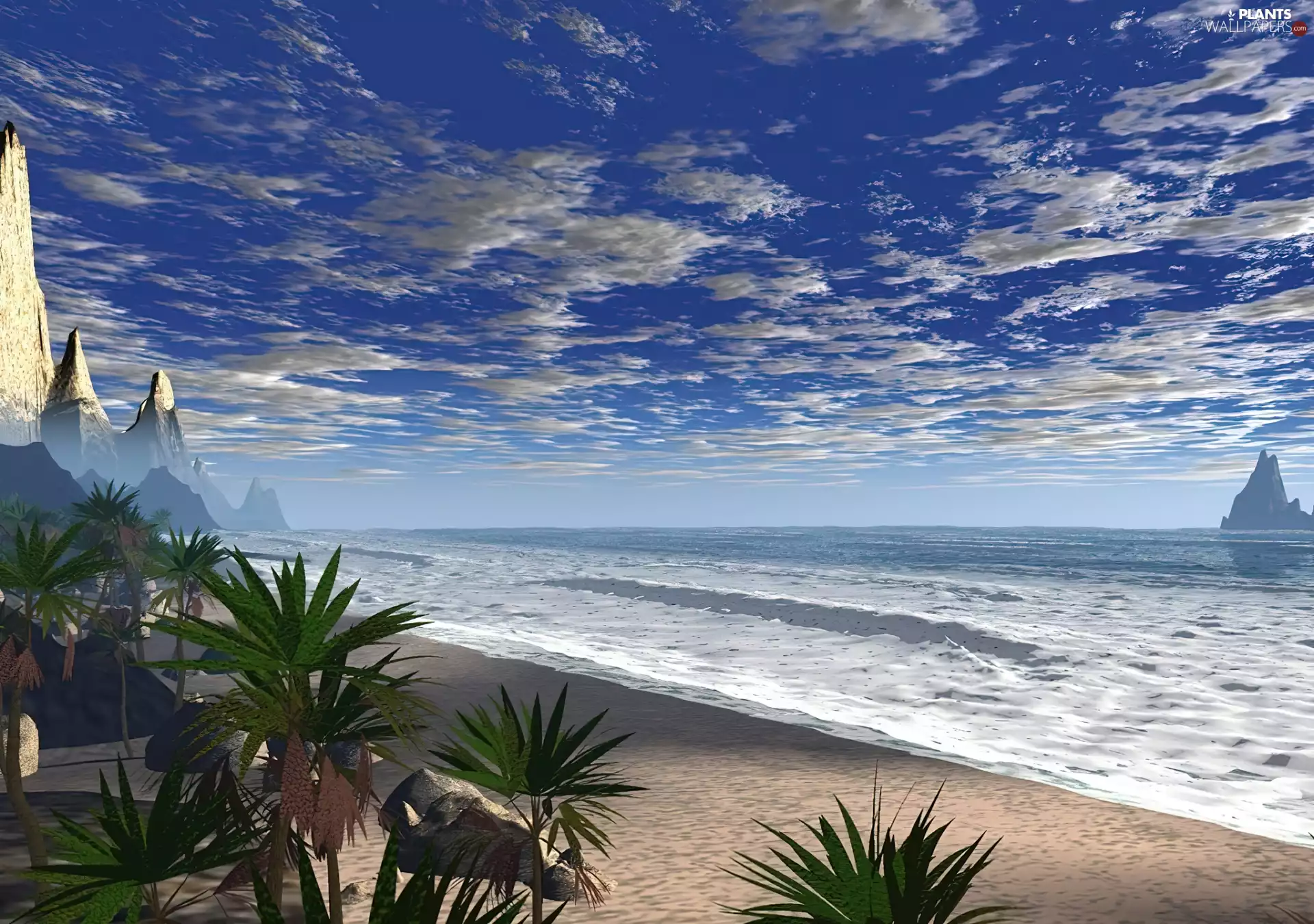 Beaches, Palms, sea, green ones