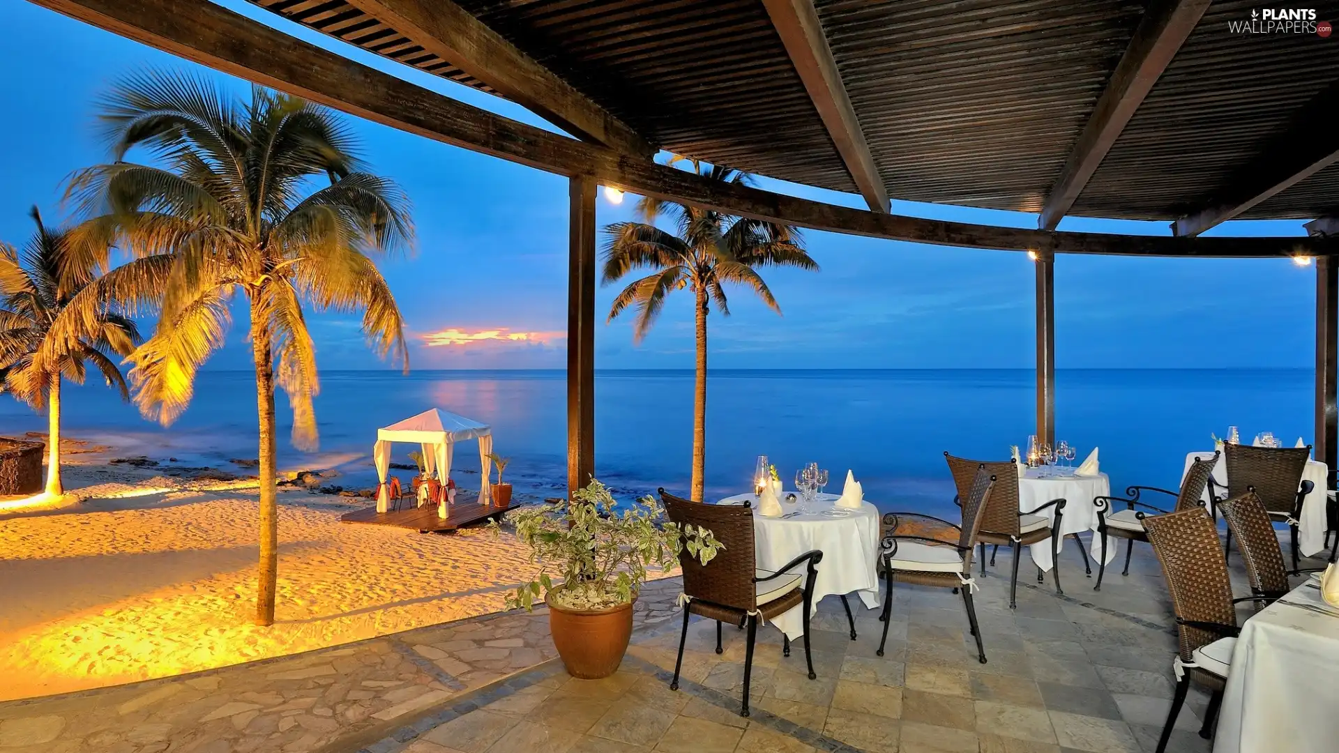 Palms, Restaurant, sea