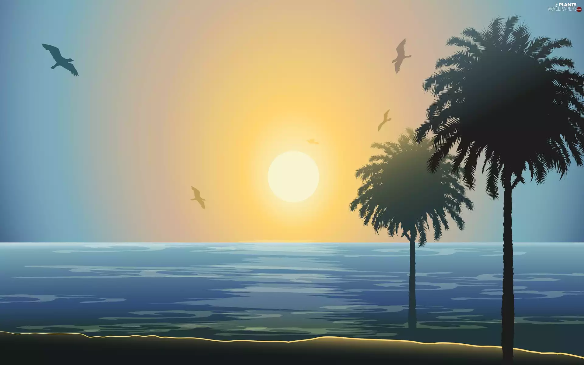 birds, Beaches, sun, Palms, sea, west, 2D