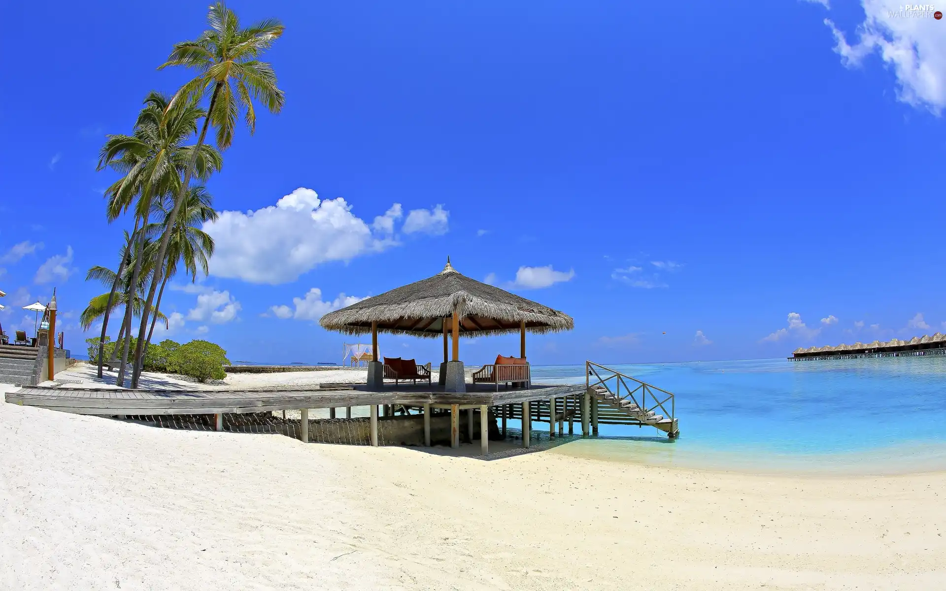 piles, house, sea, an, Beaches, Palms, Tropical