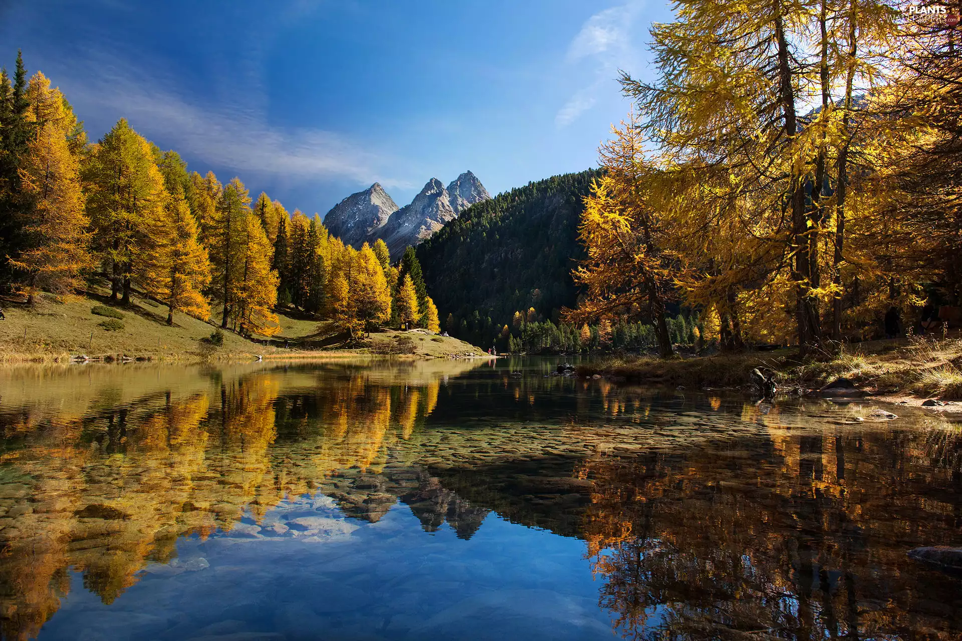 Pass Albulapass, autumn, viewes, Lake Lai da Palpuogna, trees, Canton Graubunden, Switzerland, Mountains Albula-Alpen