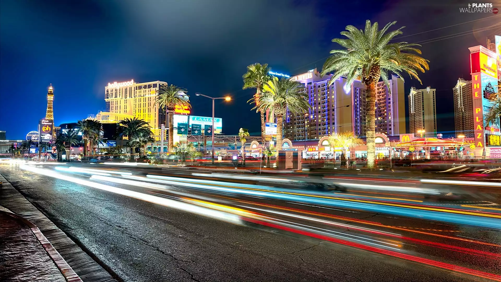 town, Vegas, arteries, panorama, forest, night, Palms