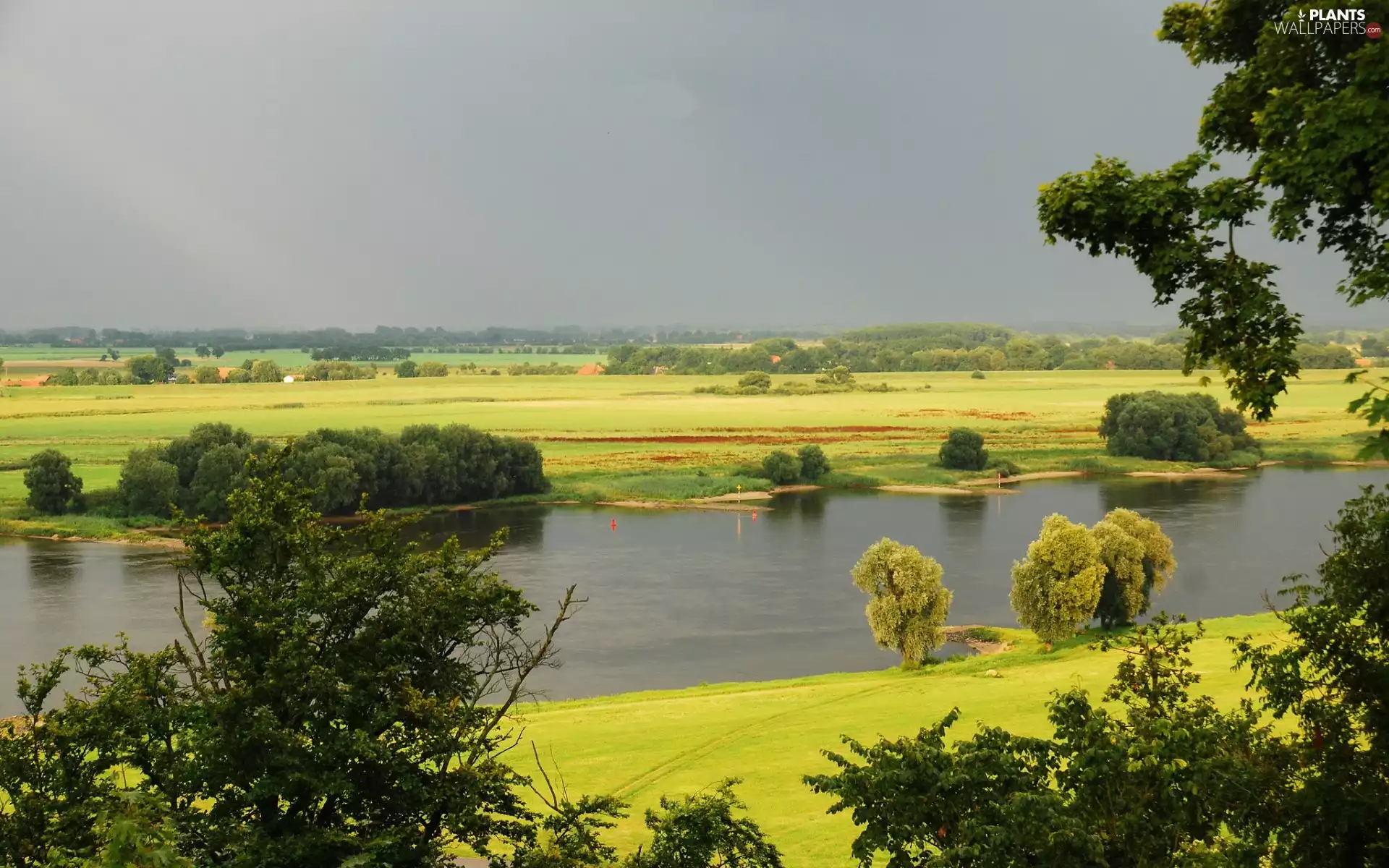 viewes, panorama, medows, trees, River