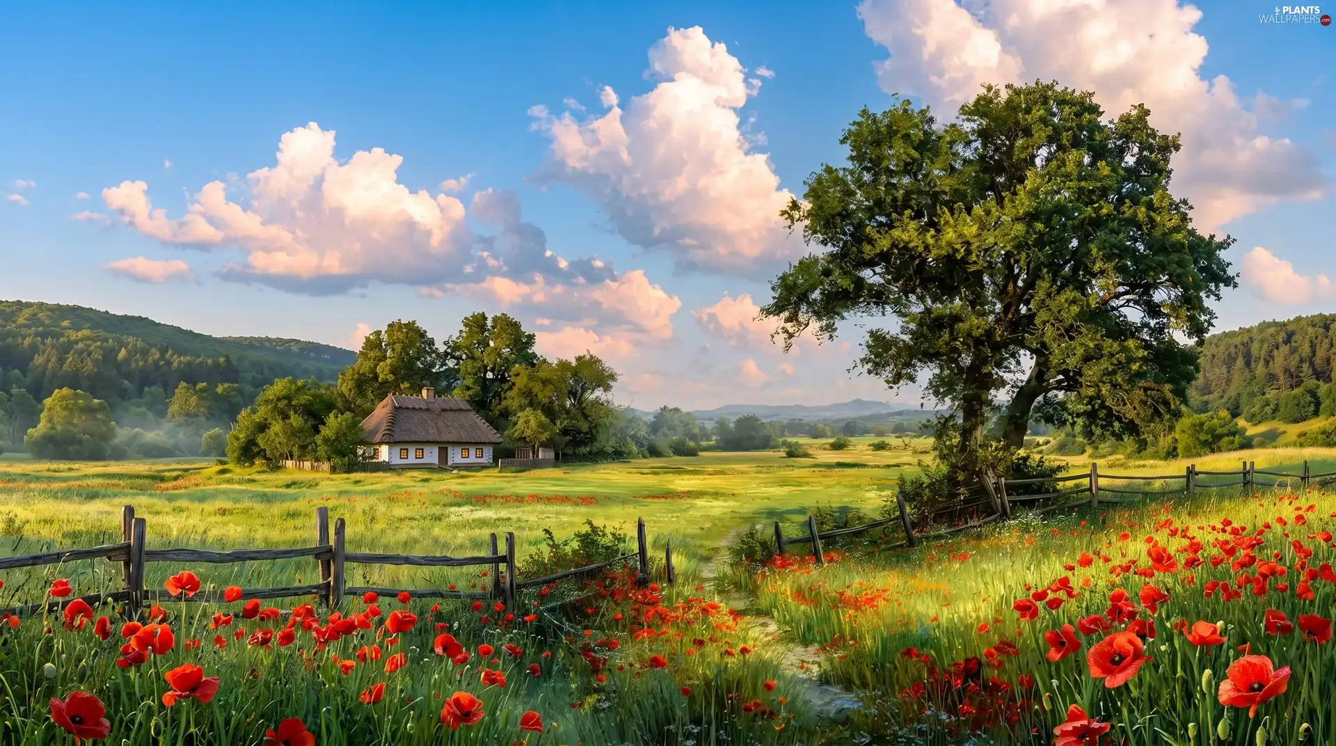 viewes, medows, Sky, fence, Mountains, trees, house, papavers