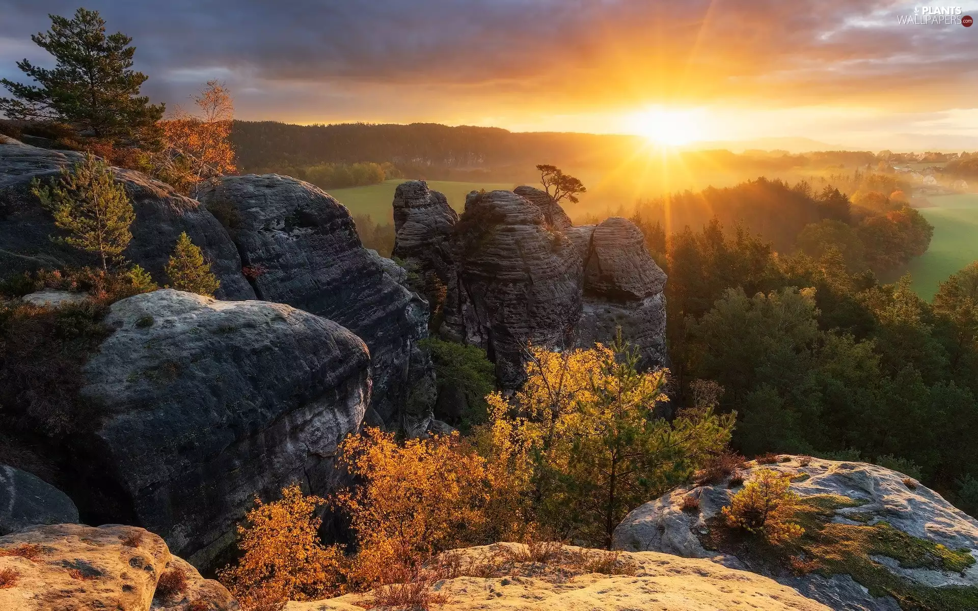Děčínská vrchovina, autumn, Sunrise, trees, rocks, Saxon Switzerland National Park, Germany, viewes