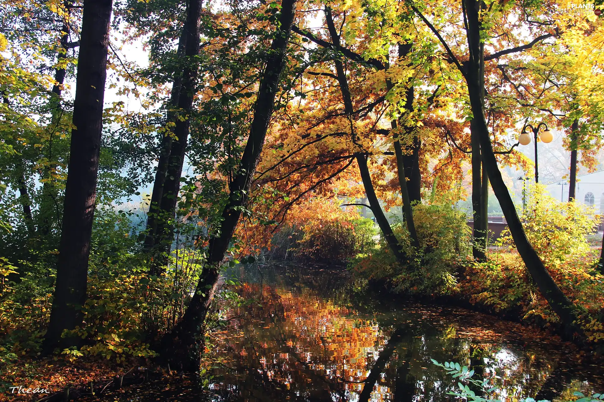 Autumn, Park