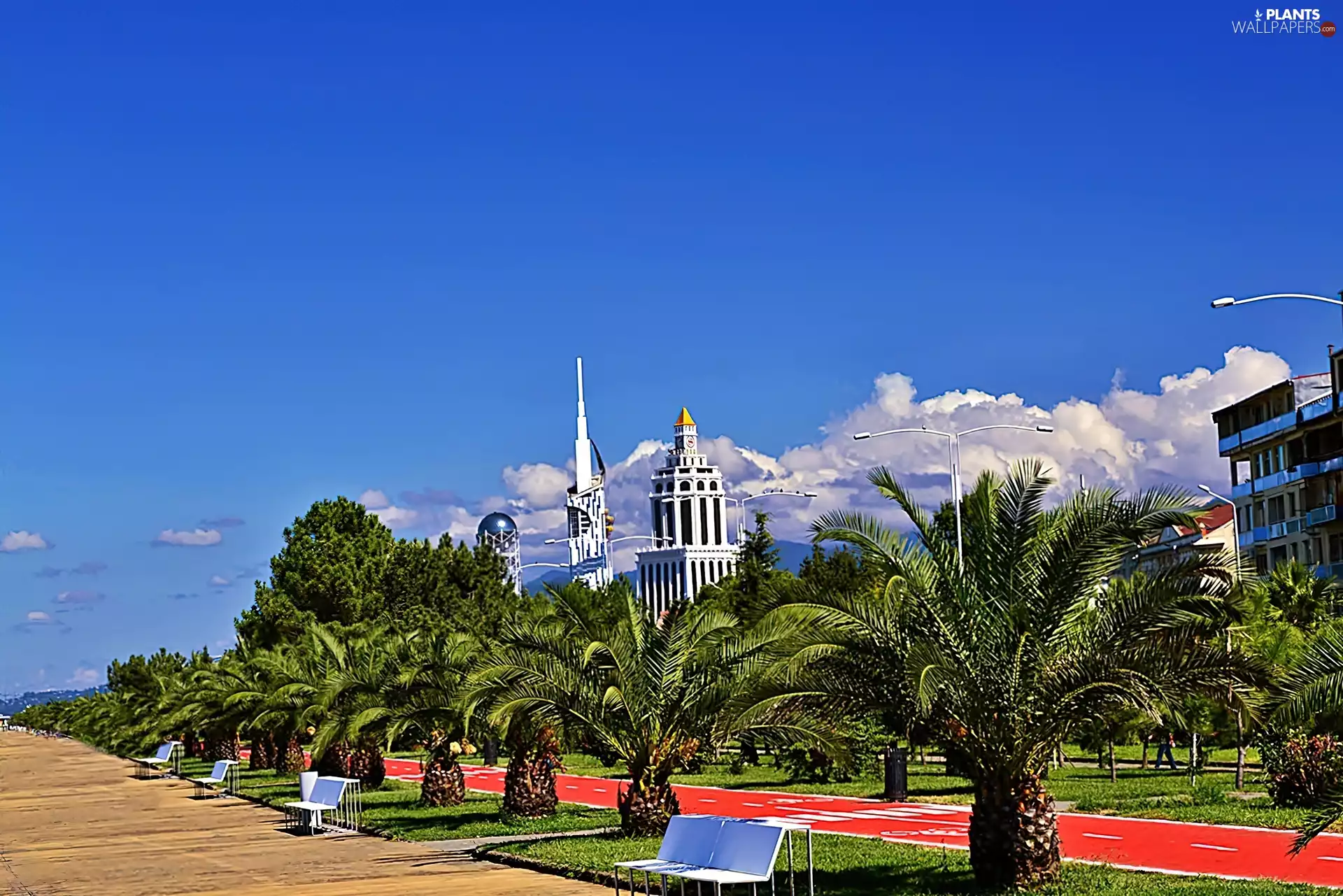 Batumi, Palms, palace, Park