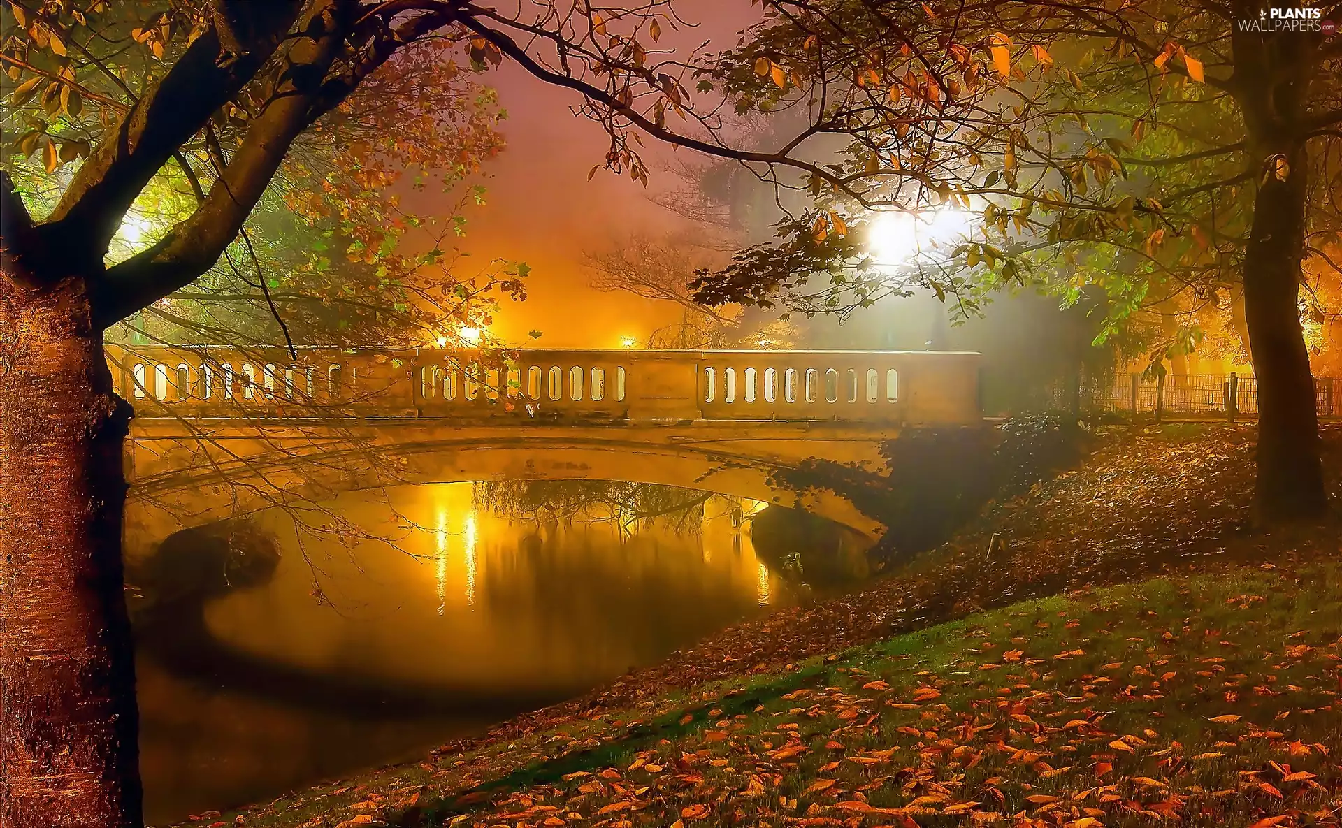 Park, autumn, Fog, brook, viewes, Leaf, bridges, trees, bridge
